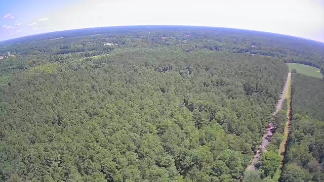 Reevesville, South Carolina, 29471, United States, ,Land,For Sale,1868815