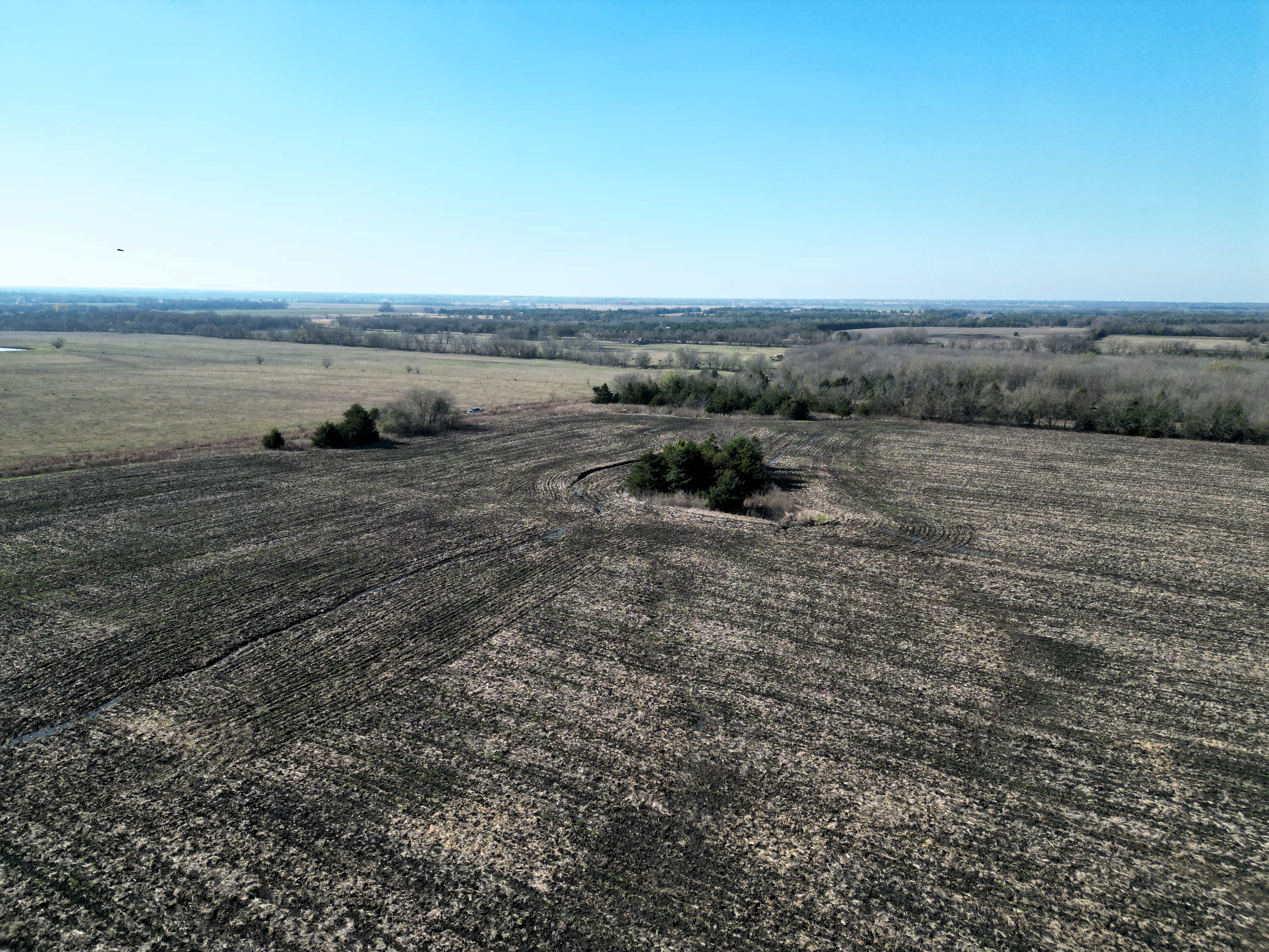 Commerce, Texas, 75428, United States, ,Land,For Sale,2001483