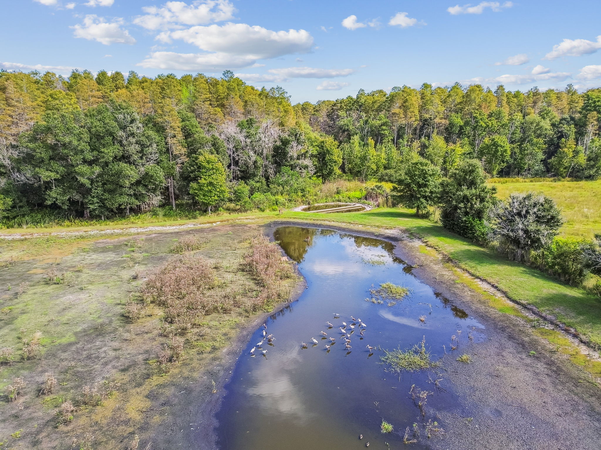 New Port Richey, Florida, 34655, United States, 6 Bedrooms Bedrooms, ,4 BathroomsBathrooms,Residential,For Sale,1980137