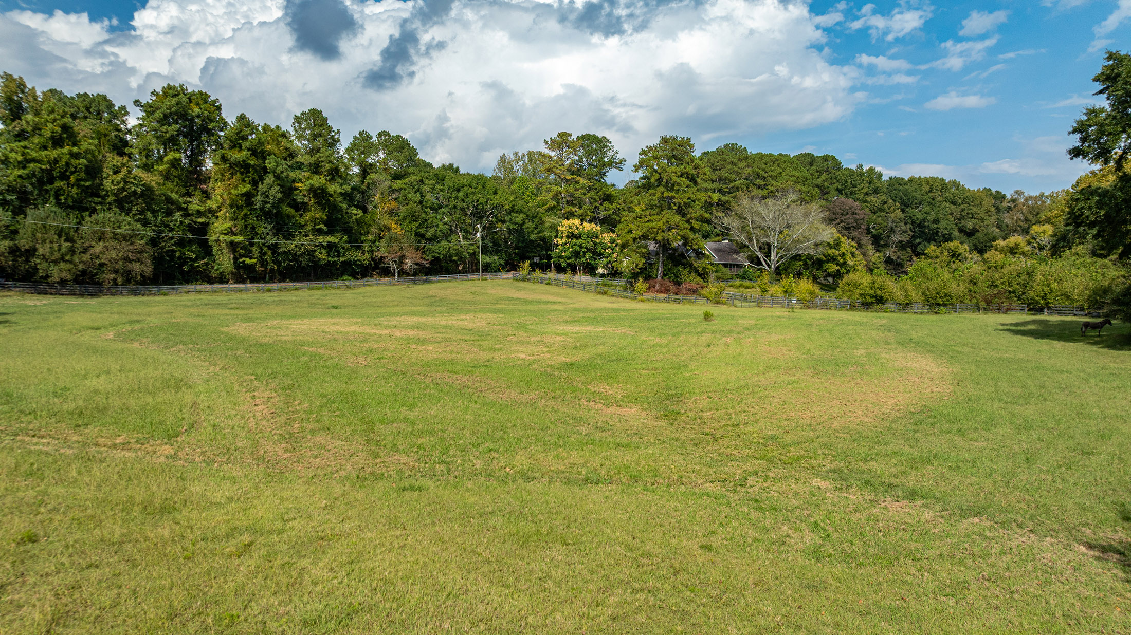  Lovely Equestrian Estate - 物件實景