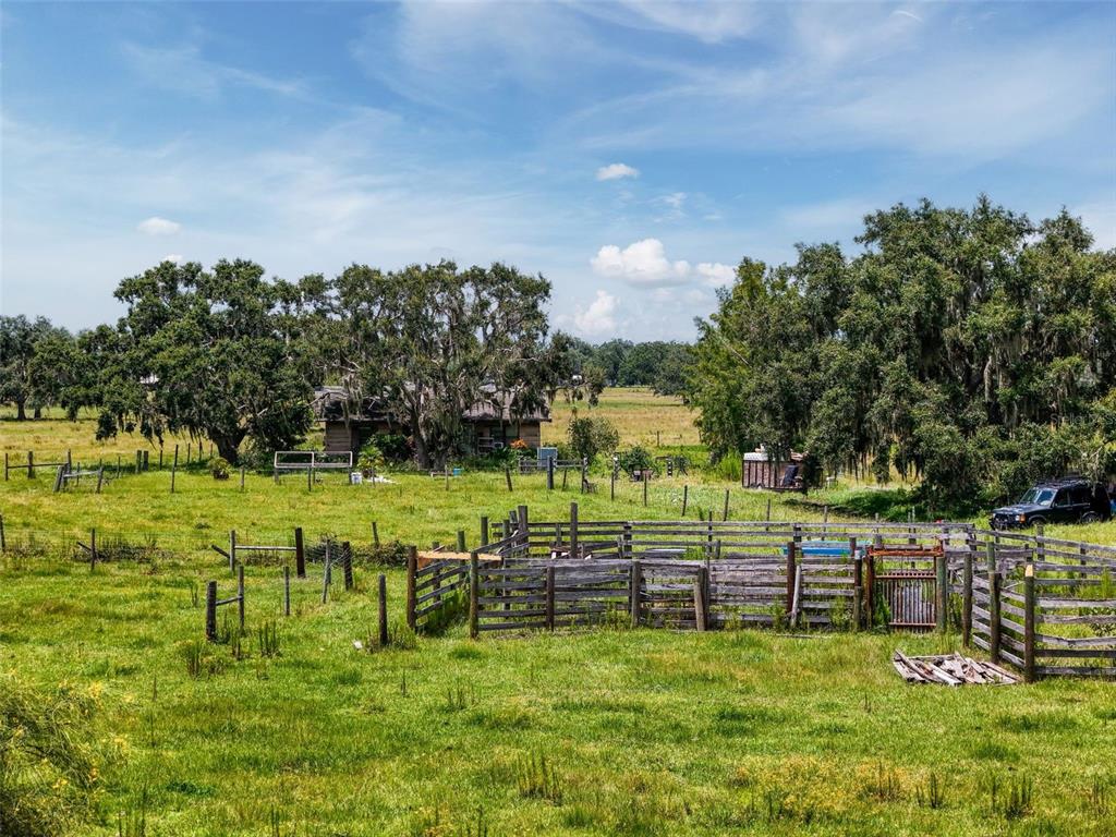 Myakka City, Florida, 34251, United States, ,Land,For Sale,1908306