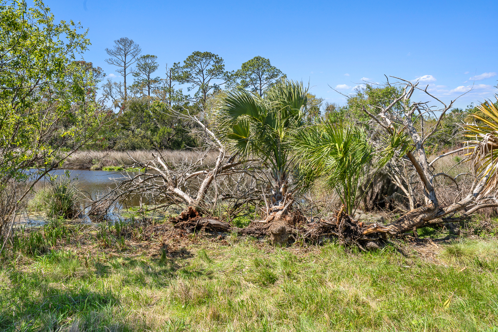  164 Tesoro Terrace, St Augustine, FL, 32095 - 物件實景