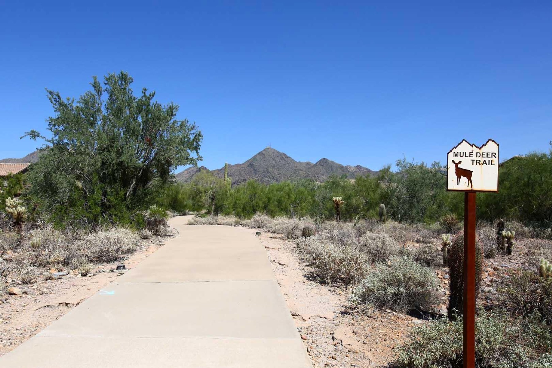  16600 N Thompson Peak Parkway  Scottsdale, AZ - 物件實景