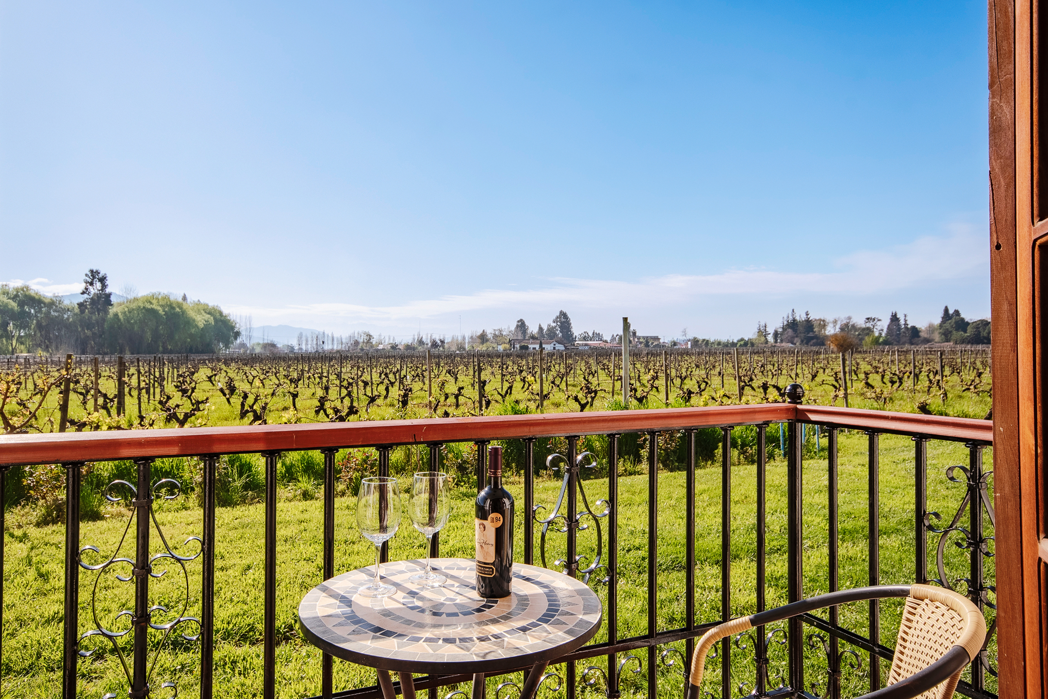  Chilean colonial-style mansion in a 3.3-hectare vineyard in Santa Cruz. - 物件實景