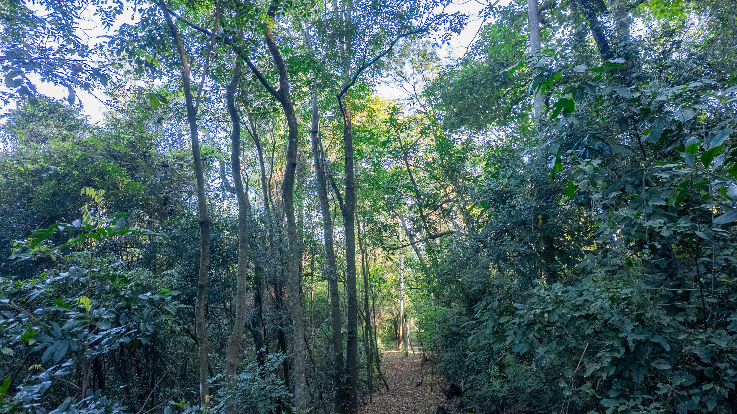  Country Estate for Sale in Caacupé, Paraguay  Country Residence - 物件實景