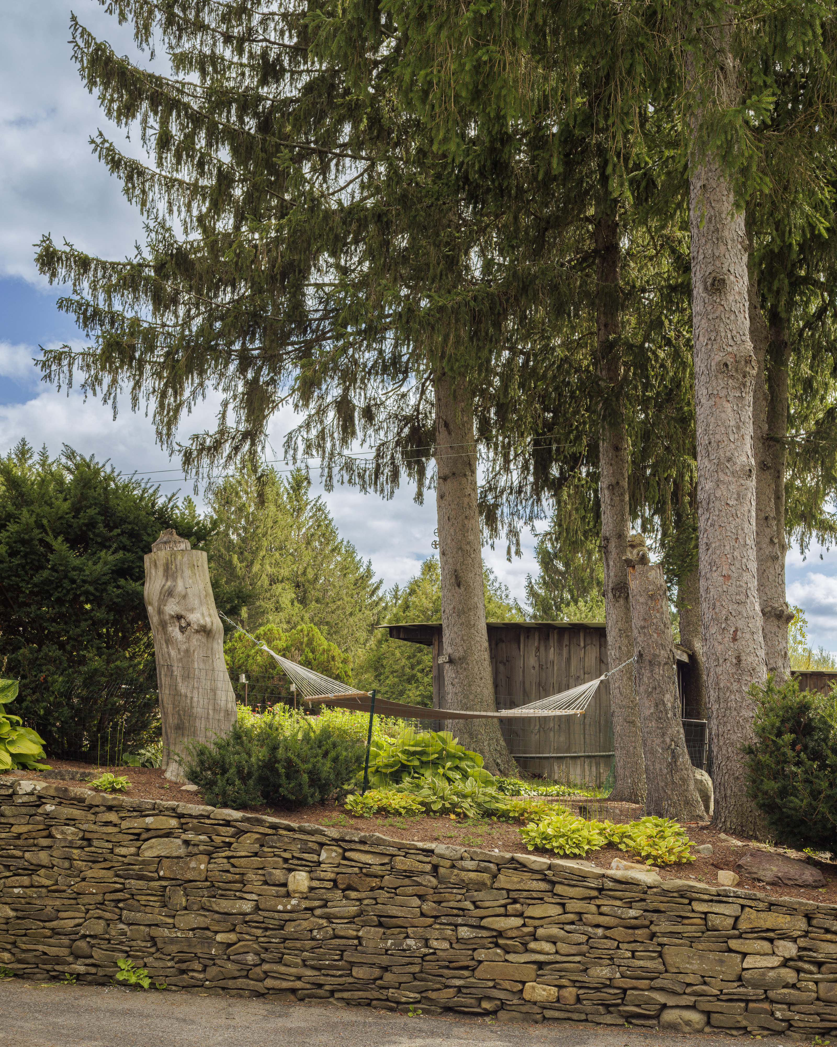  351 Warners Lake Road, East Berne, NY 12059 - 物件實景