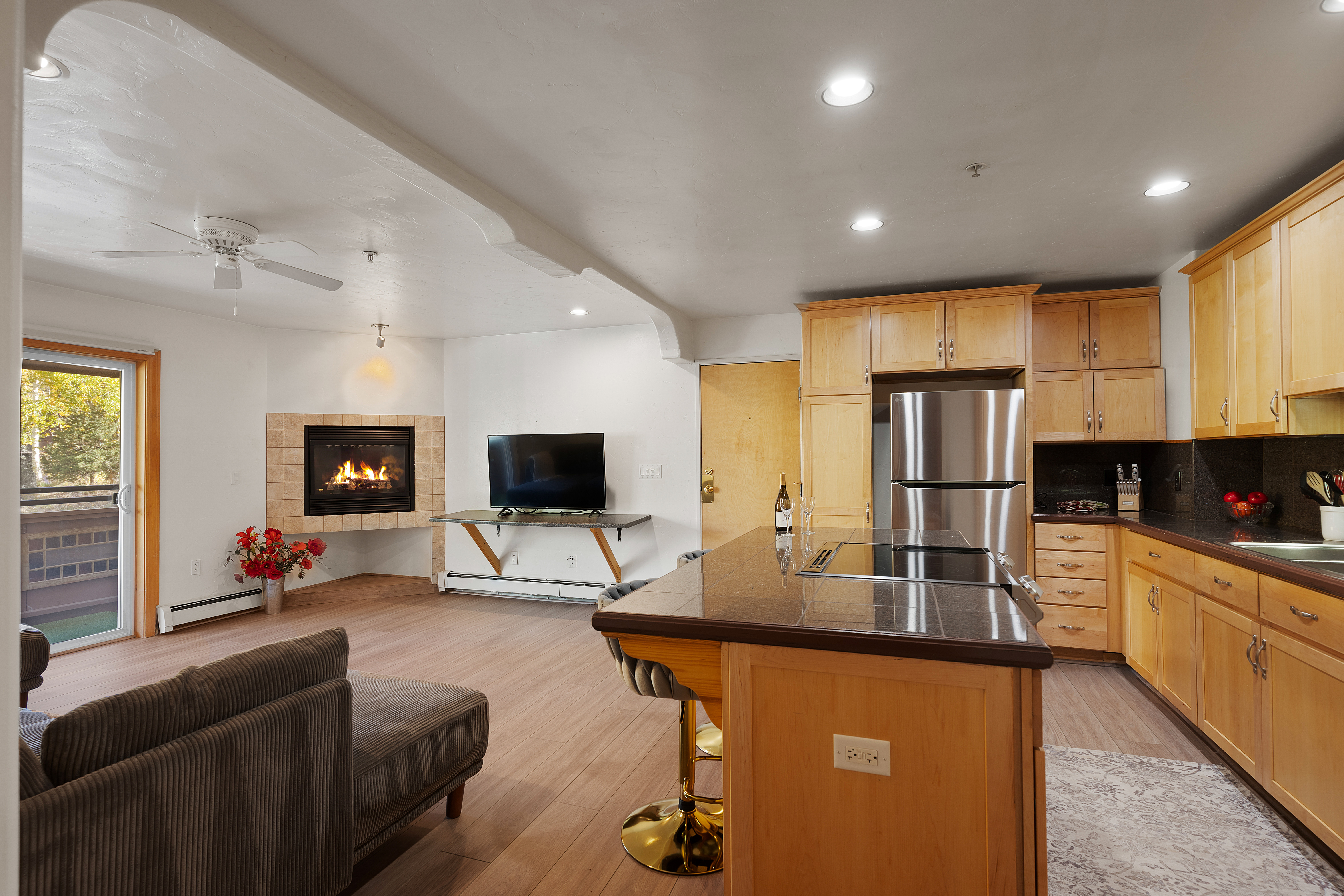  326 Midland Avenue 306, Aspen, CO, 81611 - 物件實景