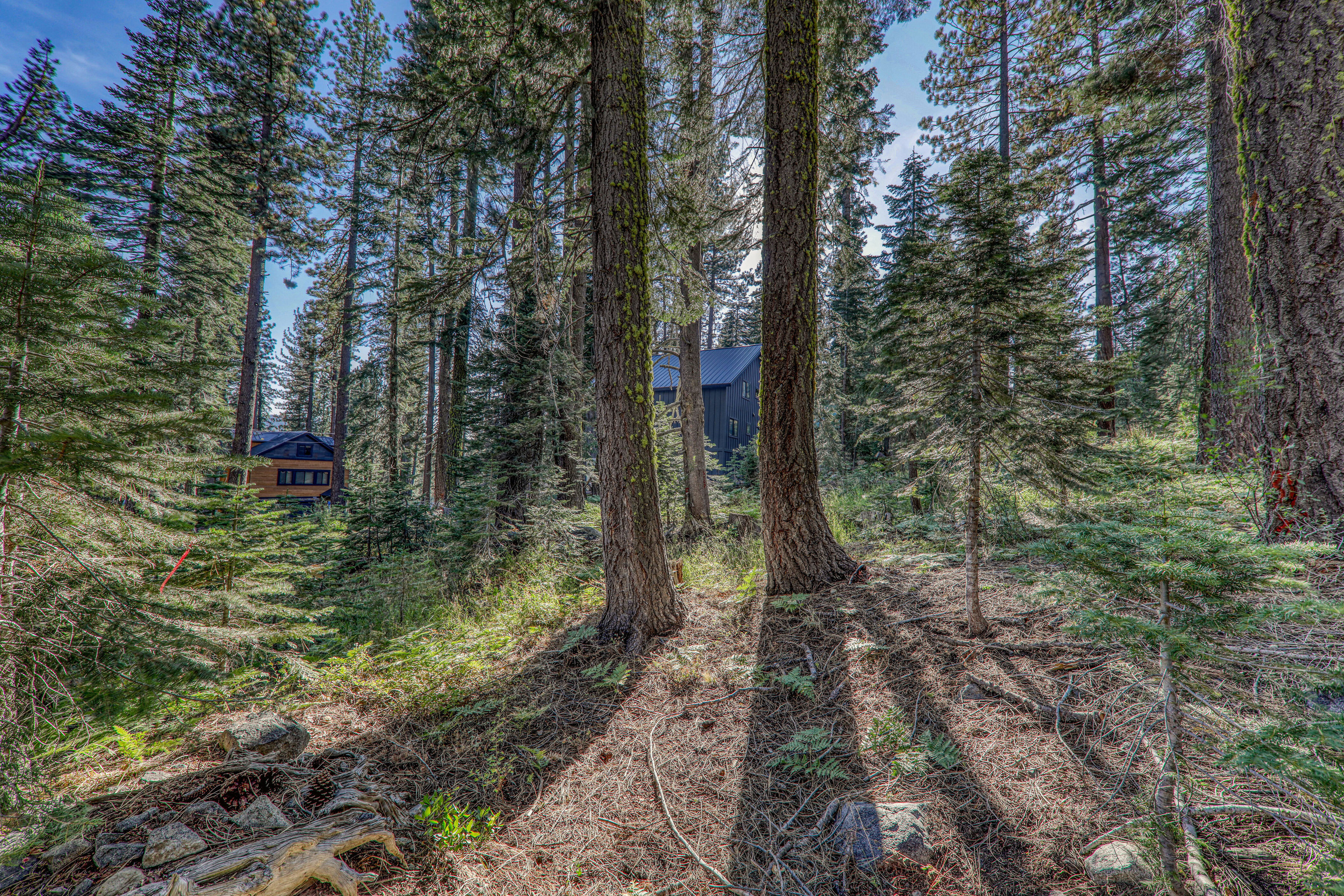  Snowmobilers Paradise - 物件實景