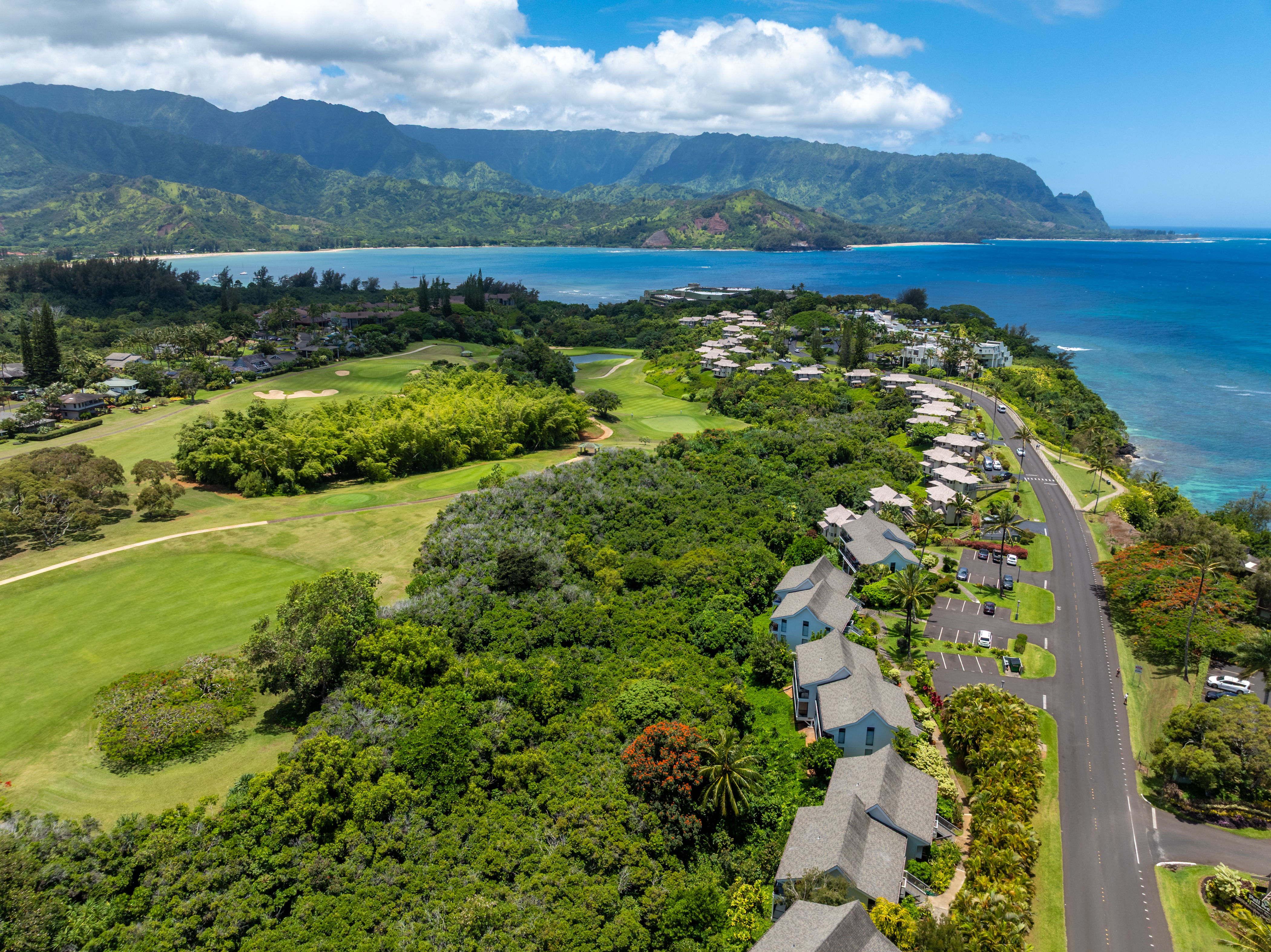  5301 Ka Haku Rd, Princeville, HI, 96722 - 物件實景