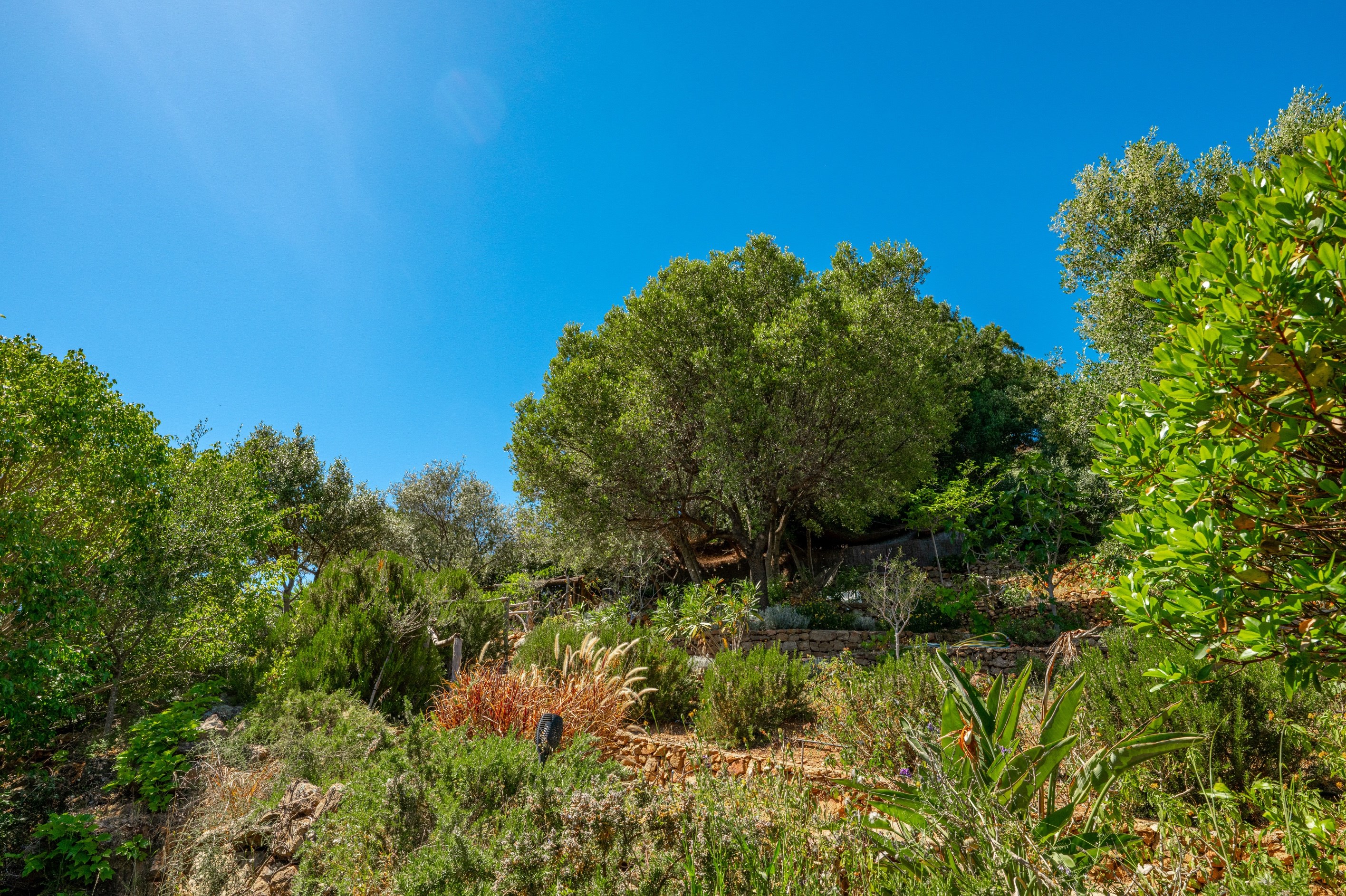  Luxury villa with pool and sea view, Sanguinary road Ajaccio - Corsica - 物件實景