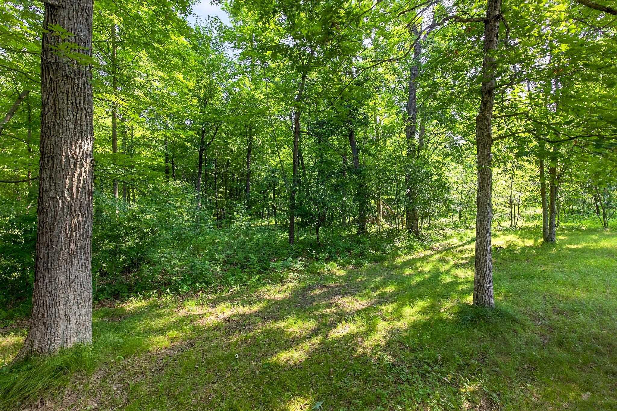 Redgranite, Wisconsin, 54970, United States, 3 Bedrooms Bedrooms, ,3 BathroomsBathrooms,Residential,For Sale,1982577