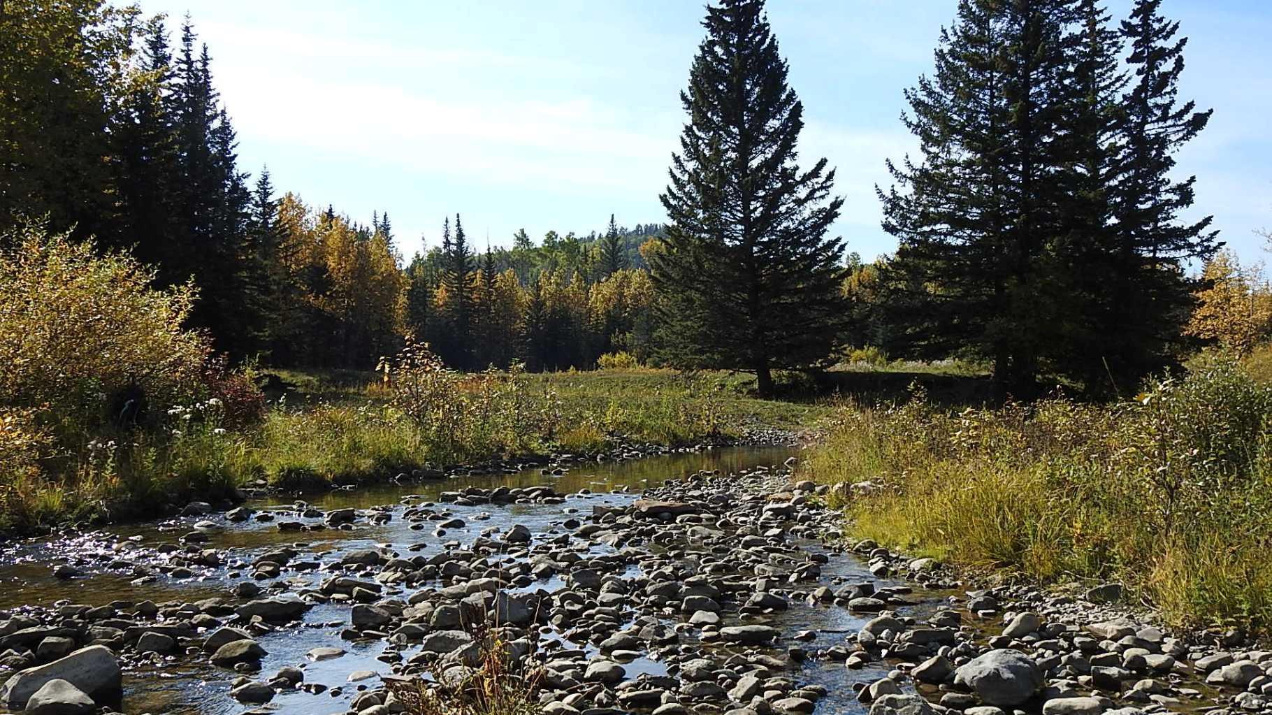 RURAL FOOTHILLS COUNTY, Alberta, T0L 1K0, CA, ,Residential,For Sale,1836944