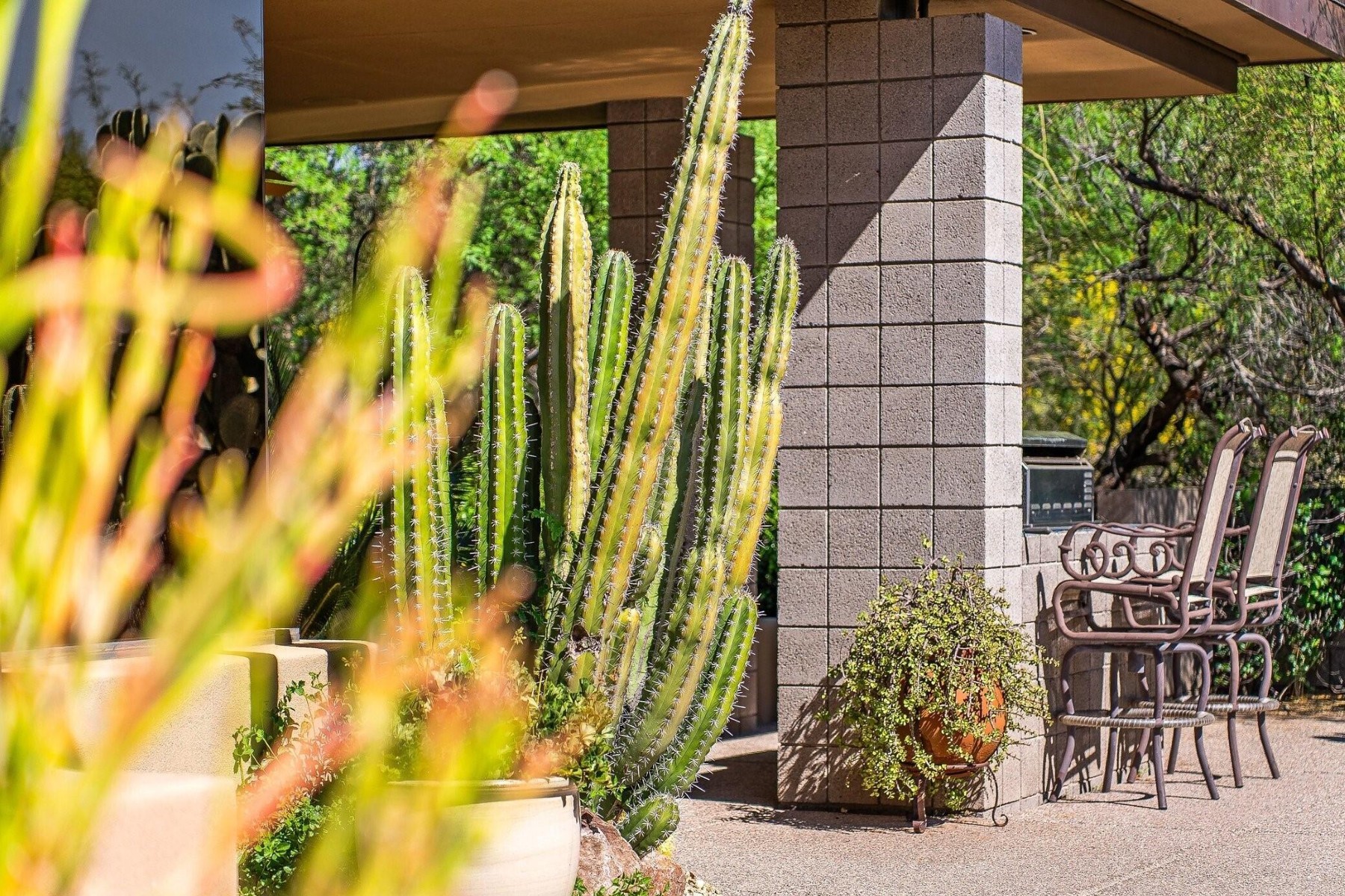  10675 E Fernwood Ln  Scottsdale, AZ - 物件實景