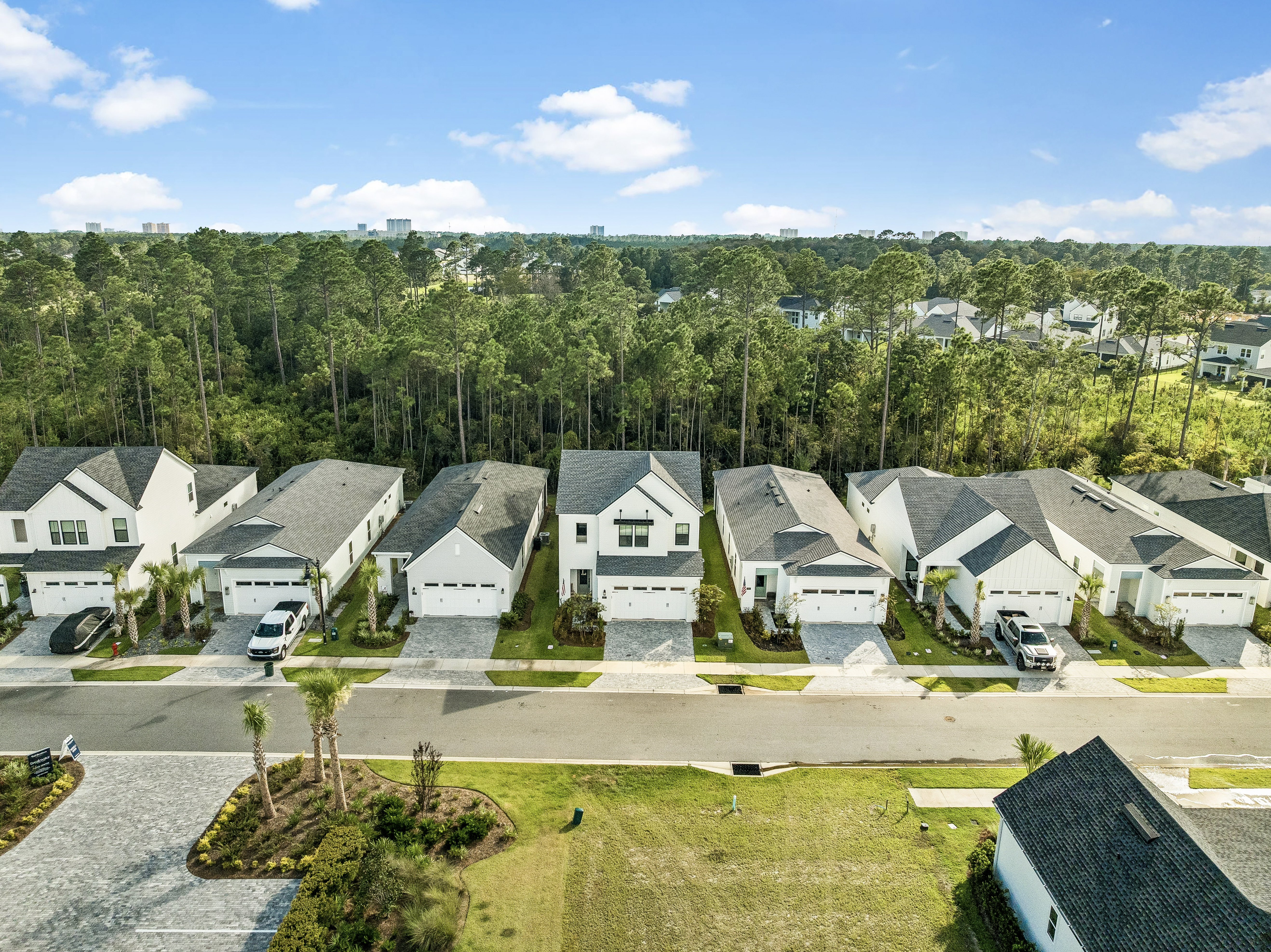  Designer-Finished Two-Story Home With First-Floor Primary And Preserve Views - 物件實景
