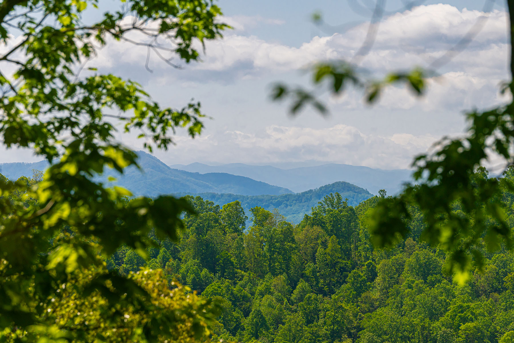  ASHEVILLE - 物件實景