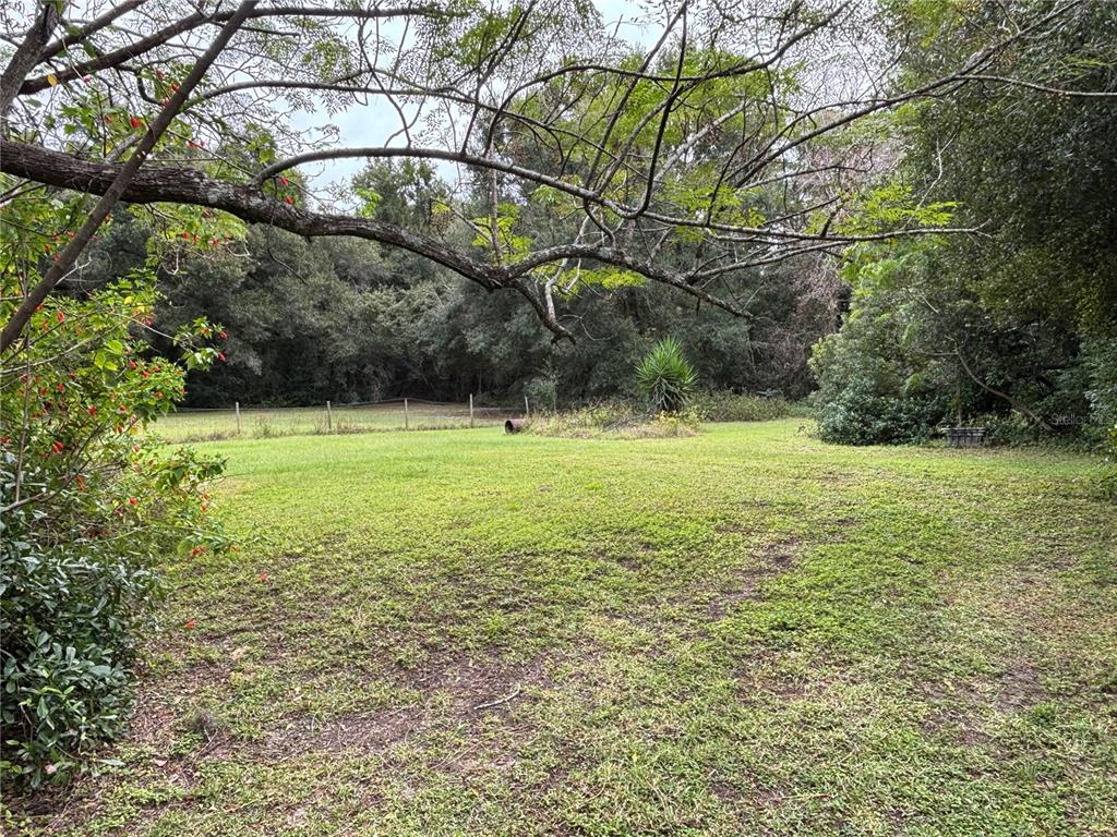 Apopka, Florida, 32712, United States, ,Land,For Sale,1998337