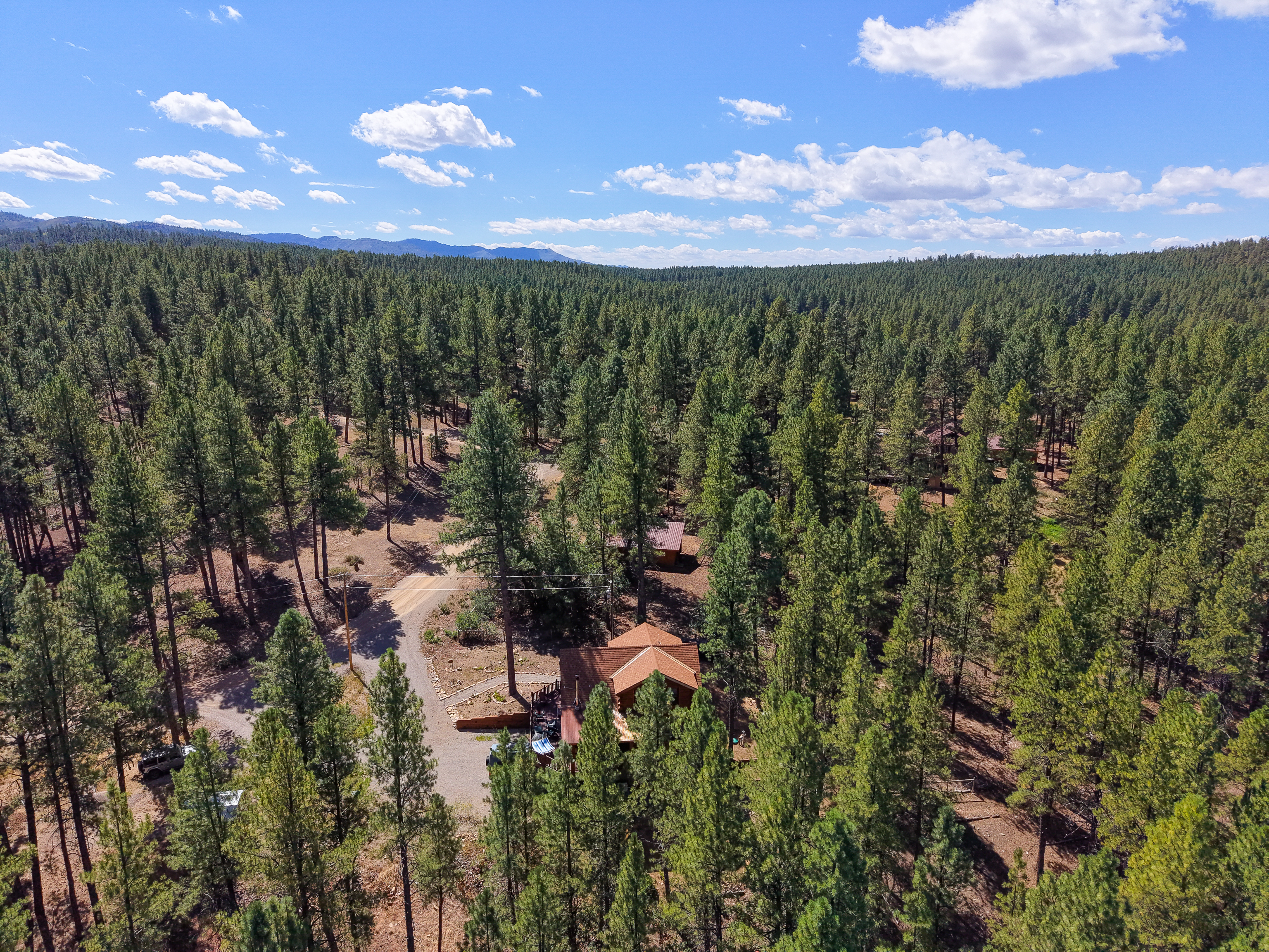  350 Wieland Drive, Bayfield, CO 81122 - 物件實景