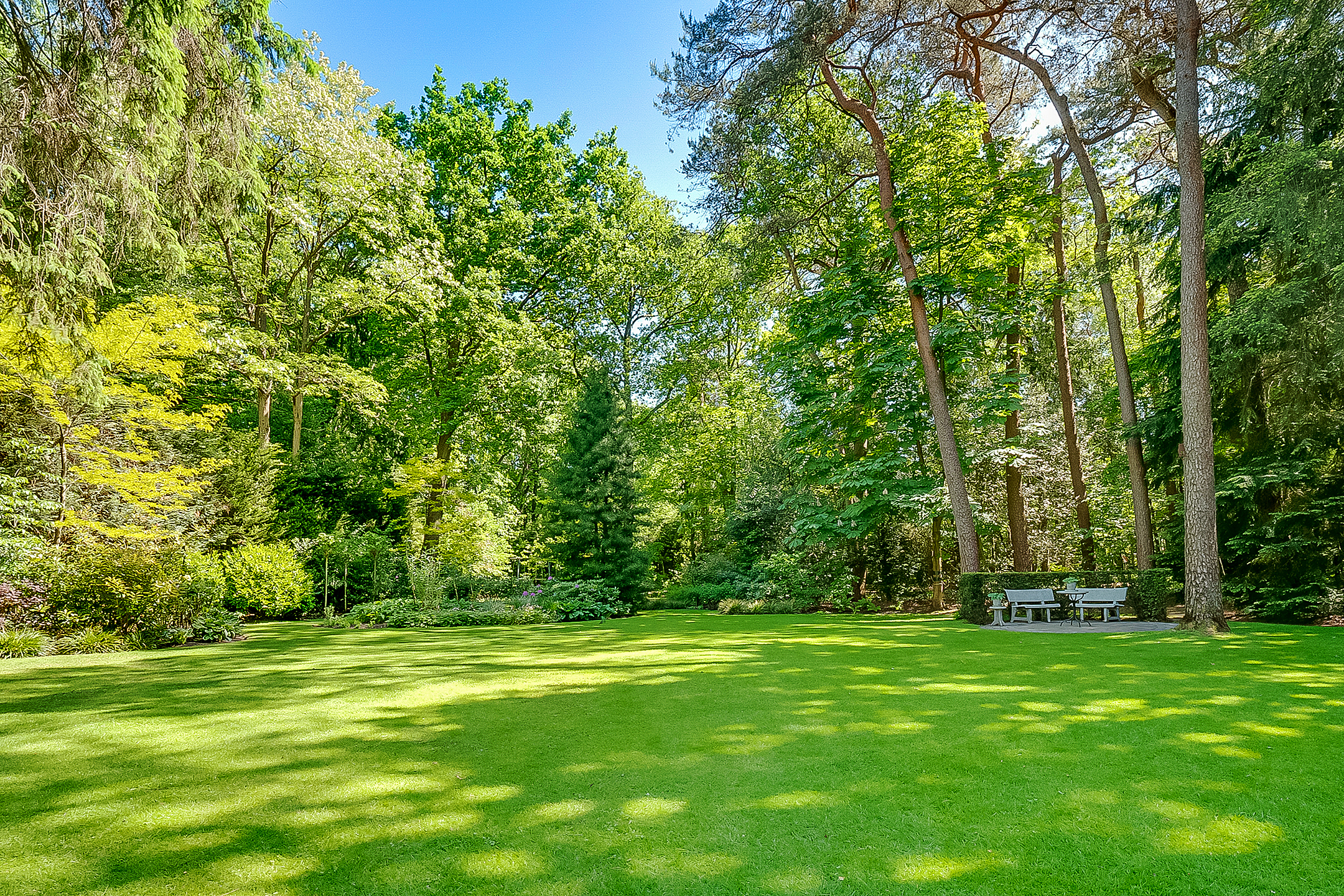  Luxury Detached Villa with Expansive Garden Estate in the Heart of Bosch en Duin - 物件實景