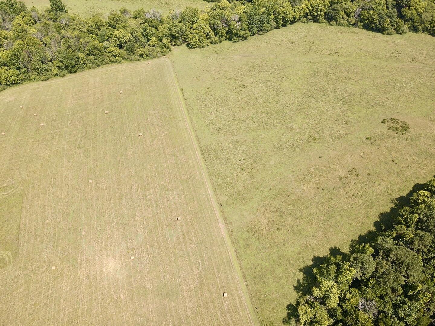 Bryant, Alabama, 35958, United States, ,Land,For Sale,1982684