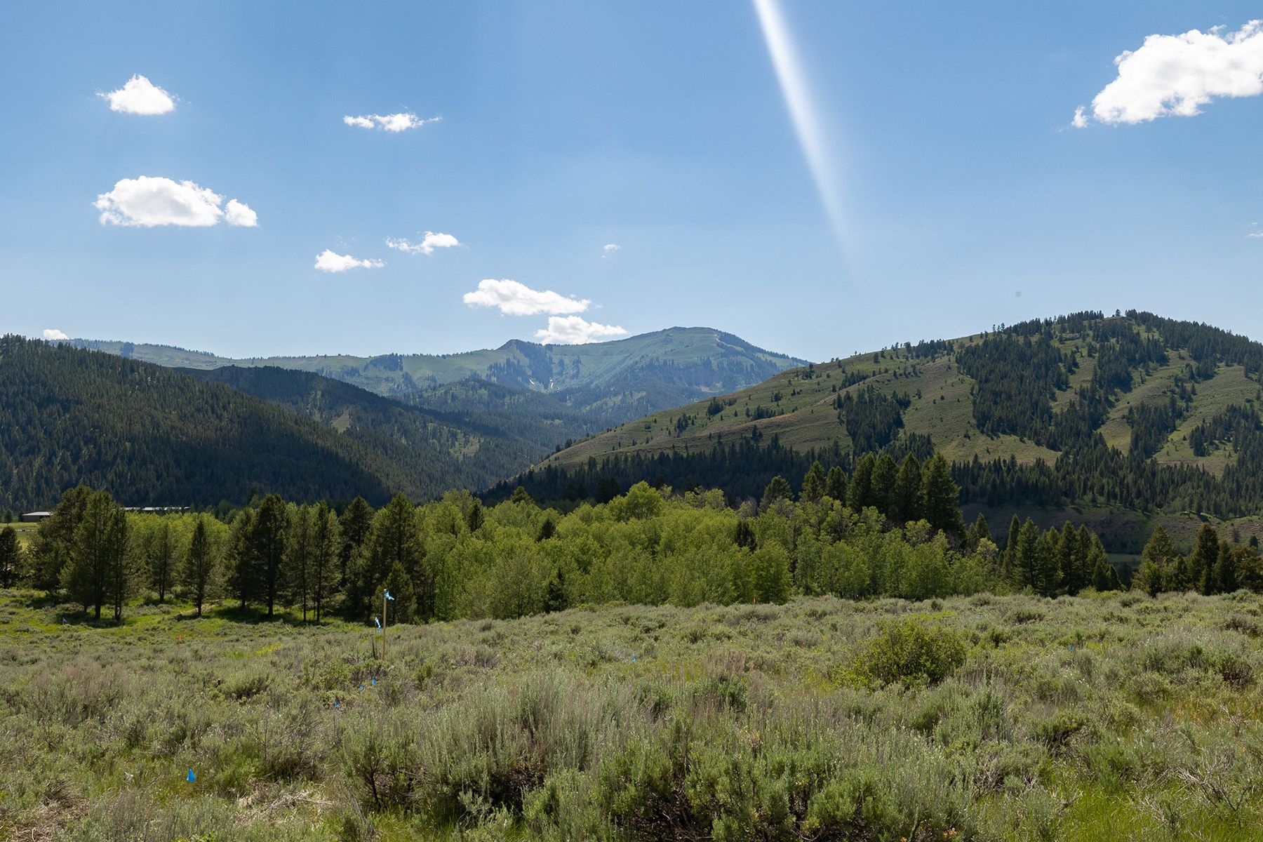  Snake River Sporting Club Lot - 物件實景
