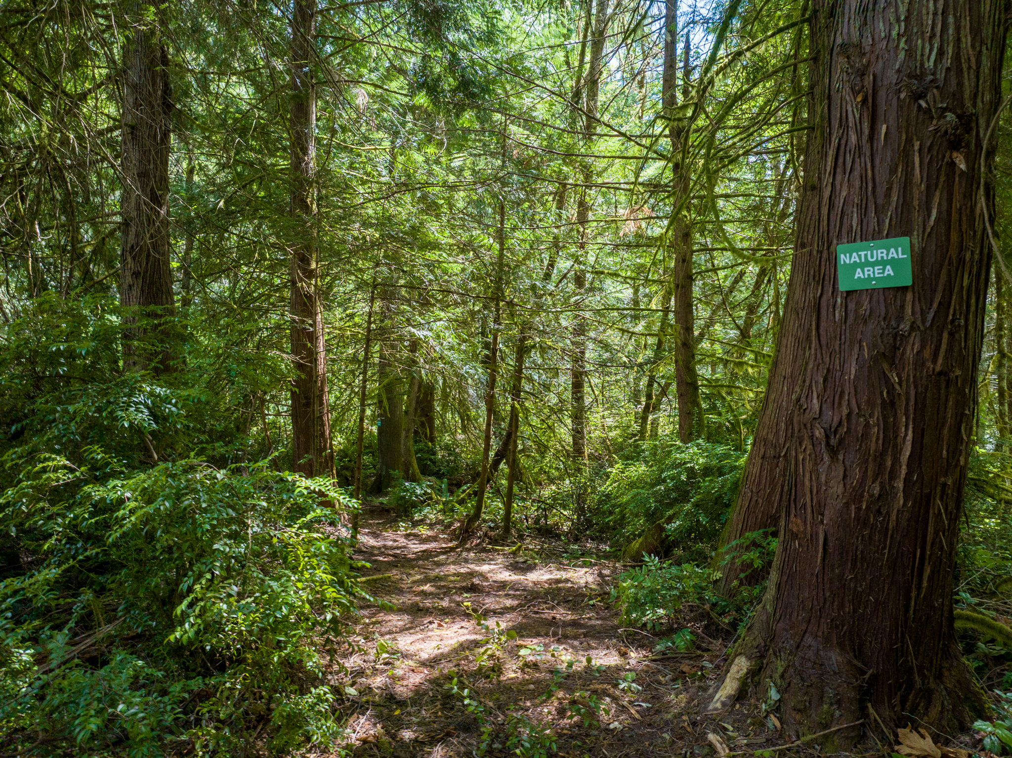  Lot A Bucsit Lane Northeast, Bainbridge Island, WA 98110 - 物件實景