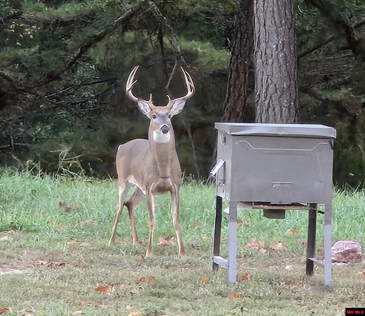 Mountain Home, Arkansas, 72653, United States, 2 Bedrooms Bedrooms, ,3 BathroomsBathrooms,Residential,For Sale,2009104