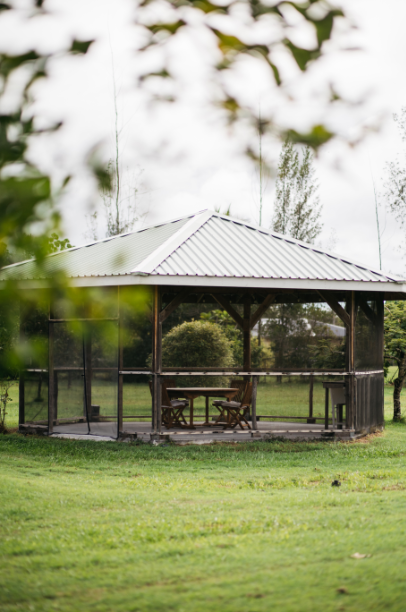 Keaau, Hawaii, 96749, United States, 3 Bedrooms Bedrooms, ,3 BathroomsBathrooms,Residential,For Sale,2007788