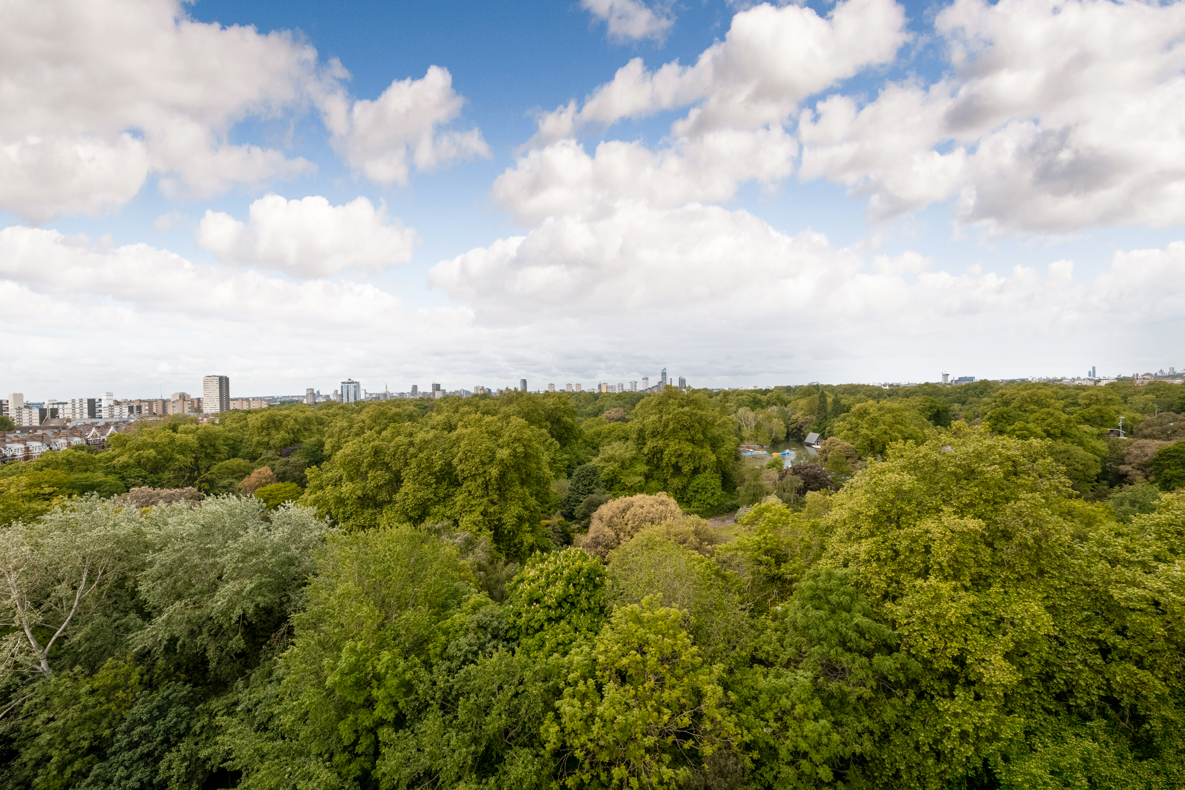  Elegant apartment with breathtaking Battersea Park views - 物件實景