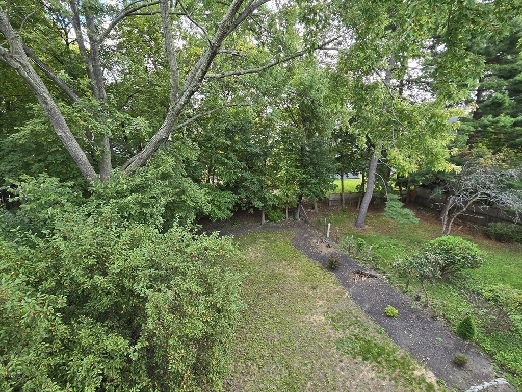 Cambridge, Massachusetts, 02138, United States, 6 Bedrooms Bedrooms, ,3 BathroomsBathrooms,Residential,For Sale,2000907