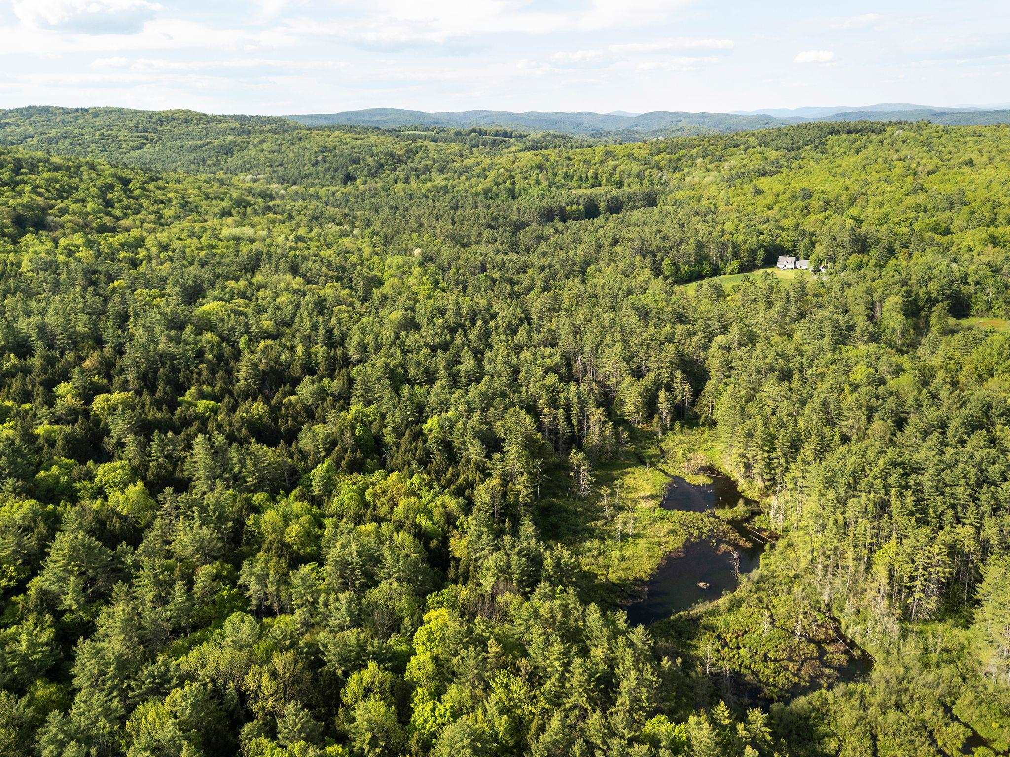  0 Newton Lane - 物件實景