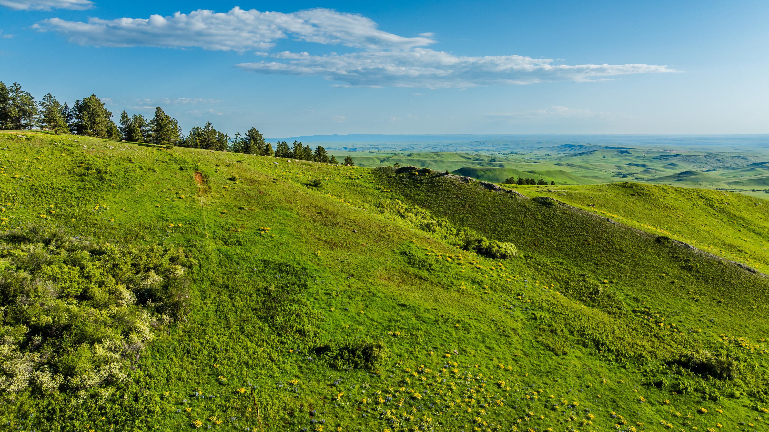 Big Horn, Wyoming, 82833, United States, ,Residential,For Sale,2011314