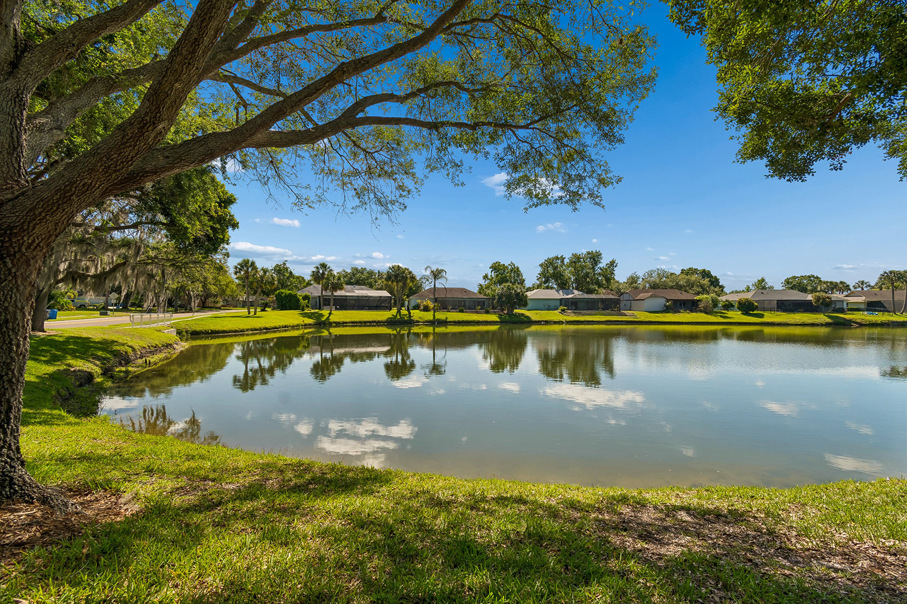  TAMPA - 物件實景
