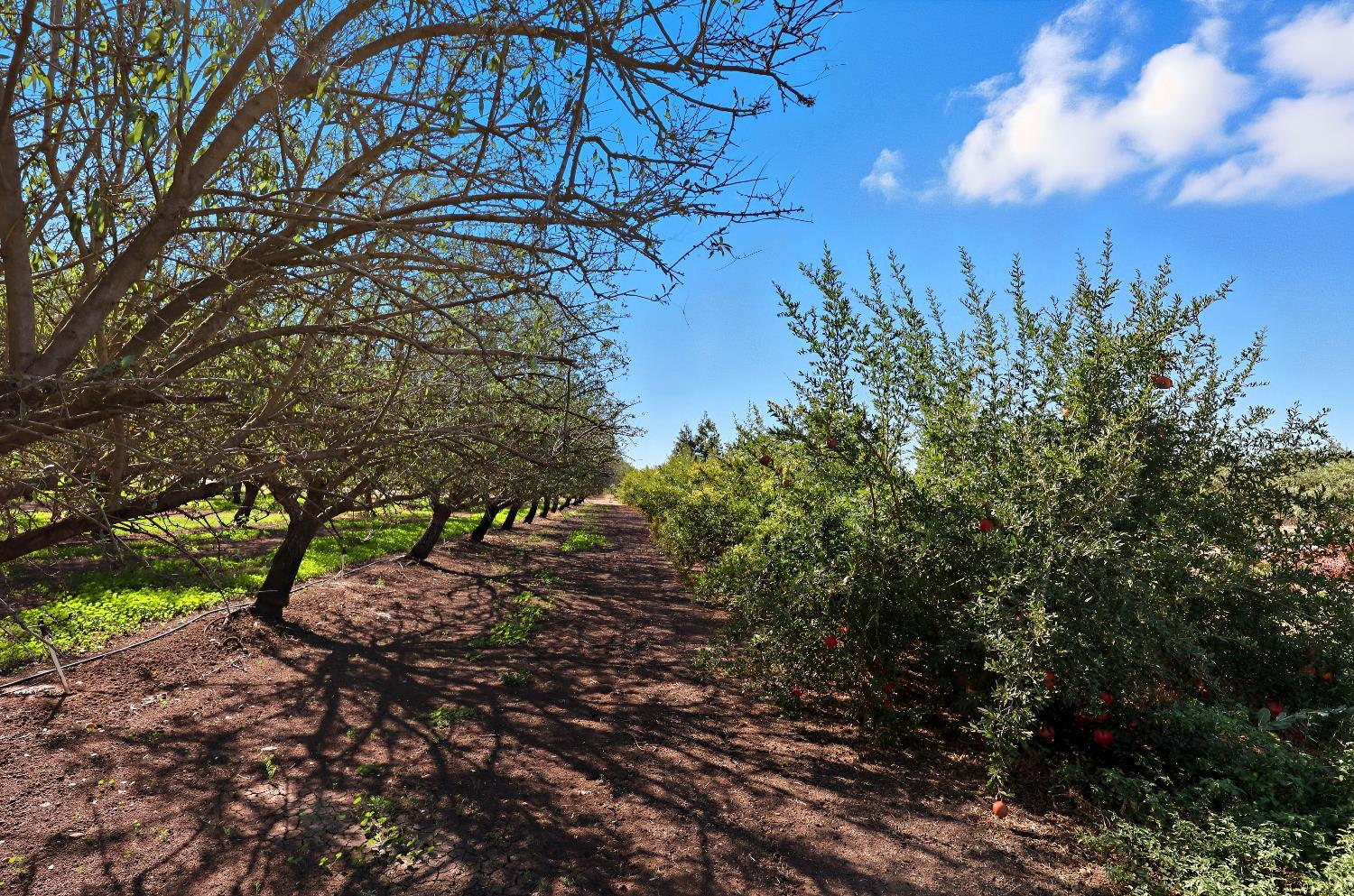 Le Grand, California, 95333, United States, 4 Bedrooms Bedrooms, ,3 BathroomsBathrooms,Residential,For Sale,1977955