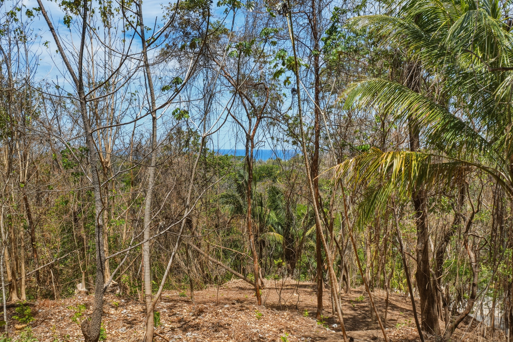  E-9, 1,14 acres with Ocean Views,  &  walkability in one of the best lo - 物件實景