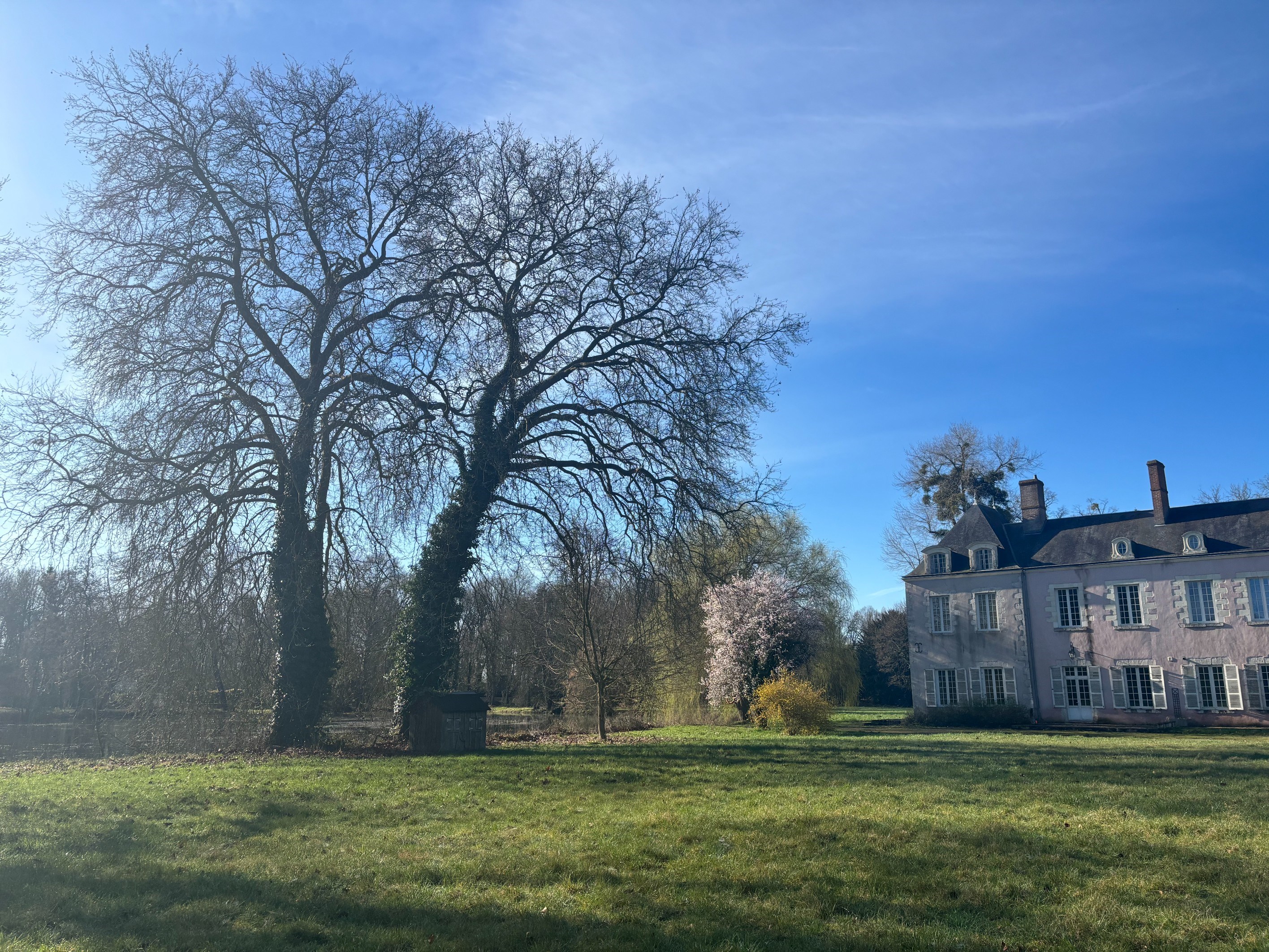  Castle - Loire Valley - 物件實景