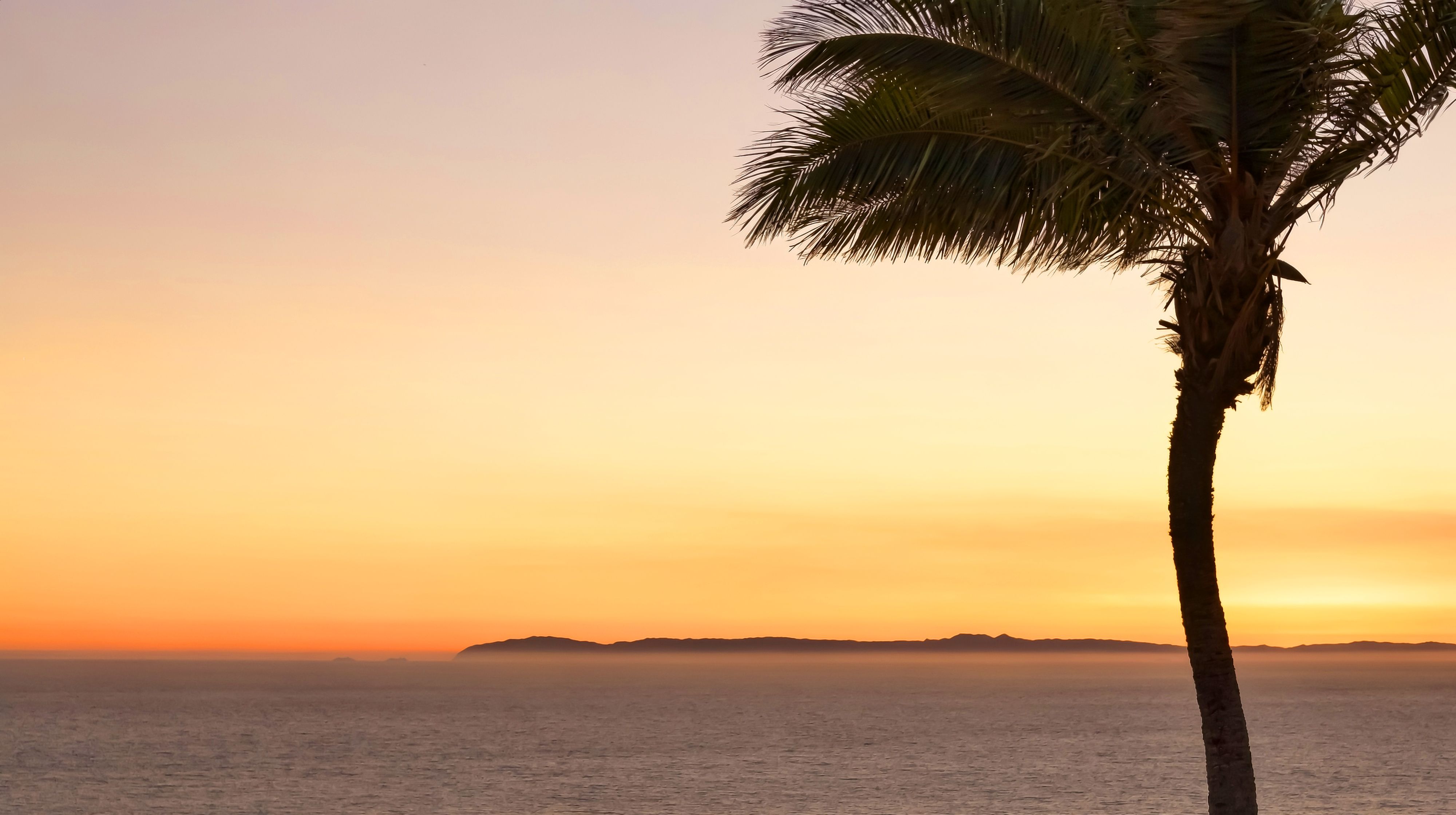  29 Vista Del Sol, Laguna Beach, CA 92651 - 物件實景
