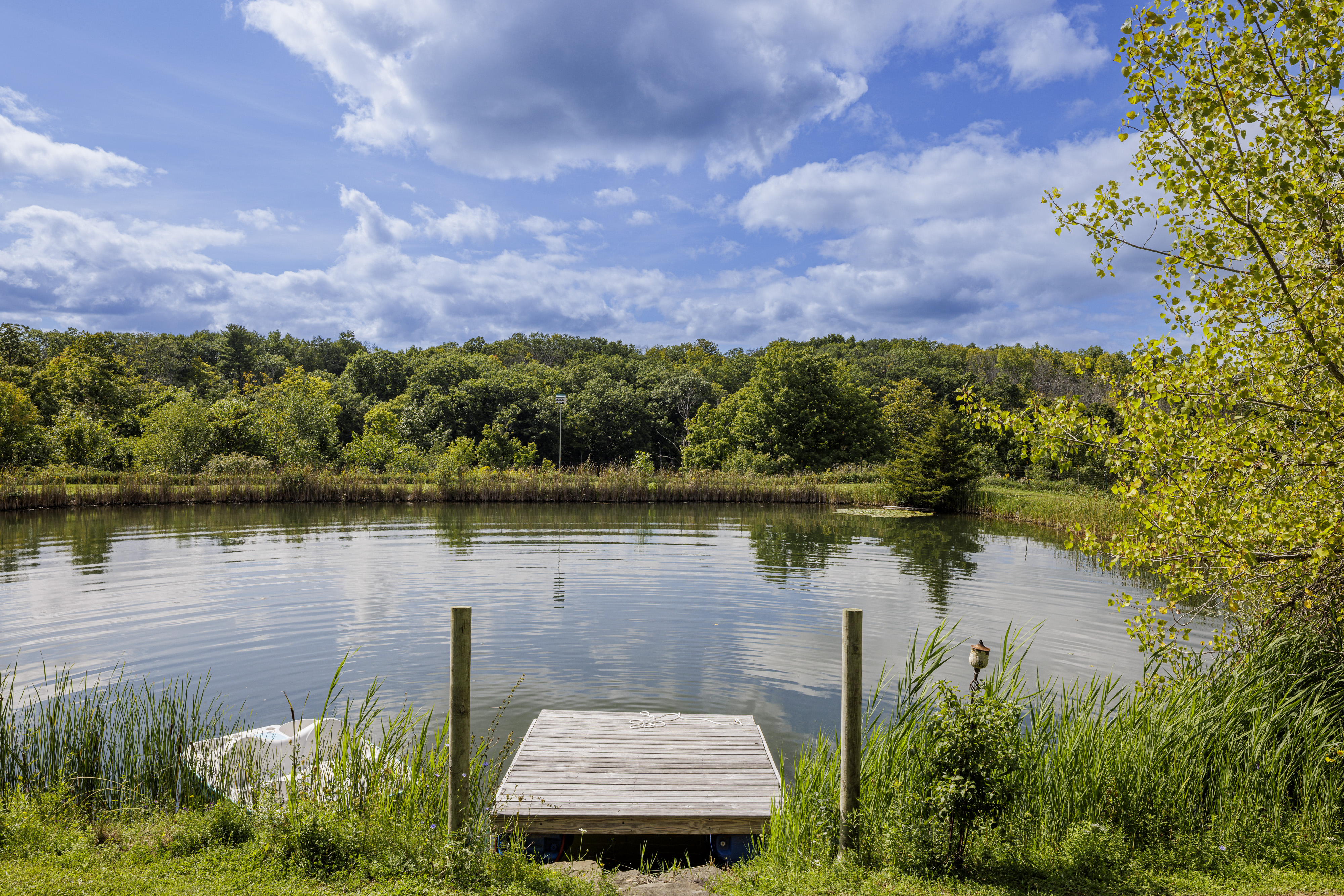  351 Warners Lake Road, East Berne, NY 12059 - 物件實景