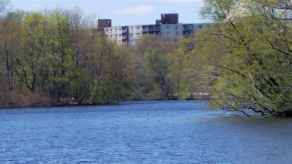 Watertown, Massachusetts, 02472, United States, 2 Bedrooms Bedrooms, ,2 BathroomsBathrooms,Residential,For Sale,1969435