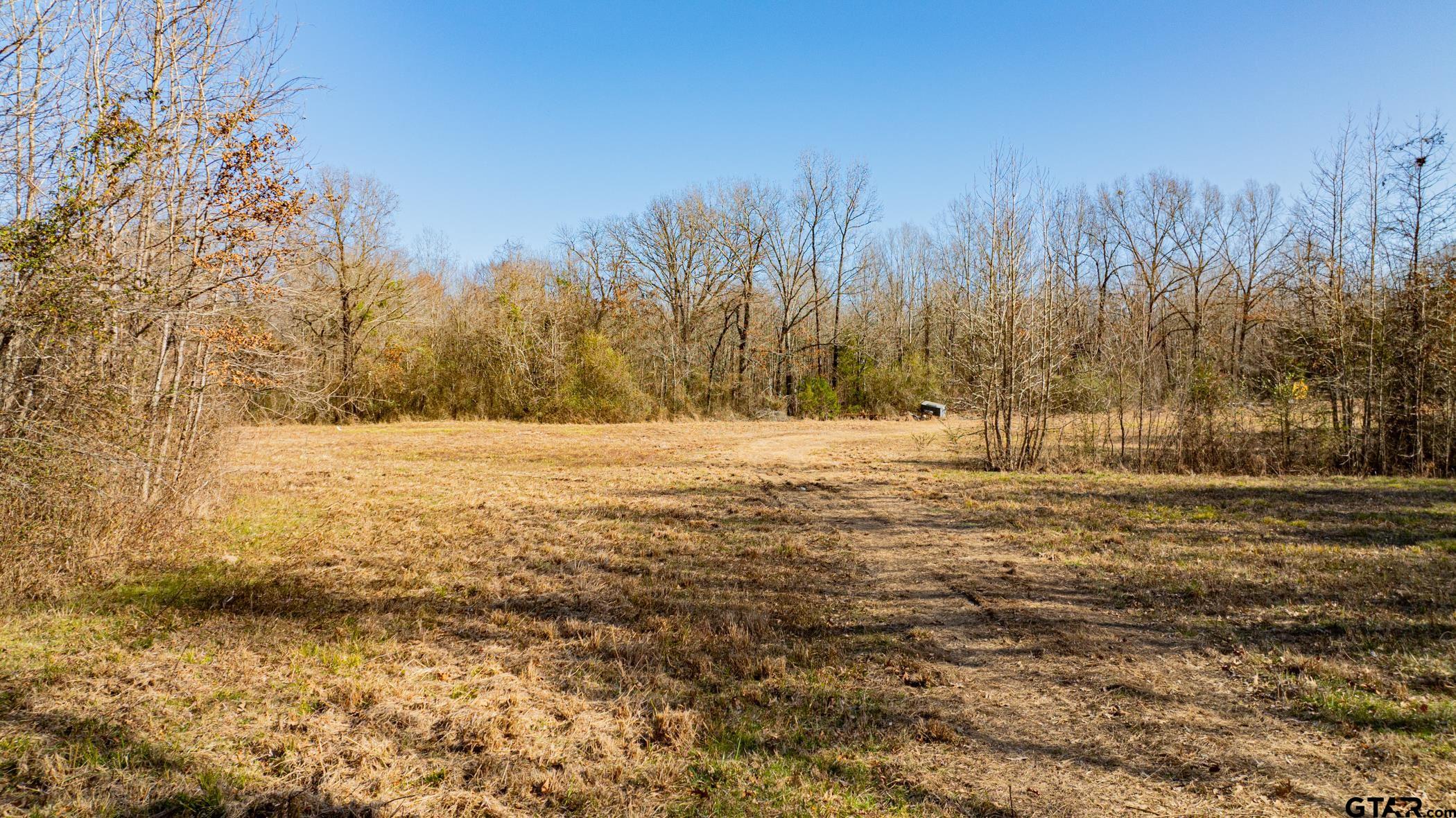Dekalb, Texas, 75559, United States, ,Residential,For Sale,1878363