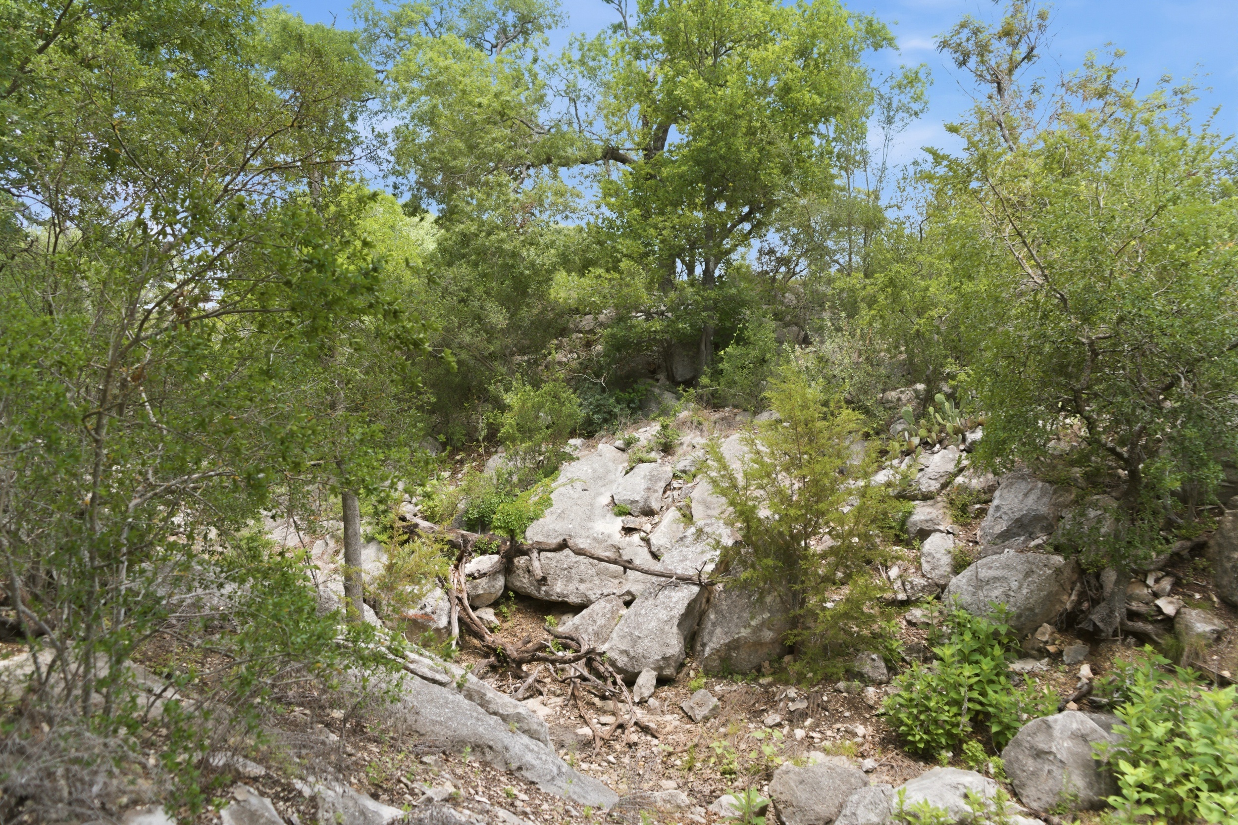  Rolling Oaks Ranch: The Pinnacle of Private Estate Living - 物件實景