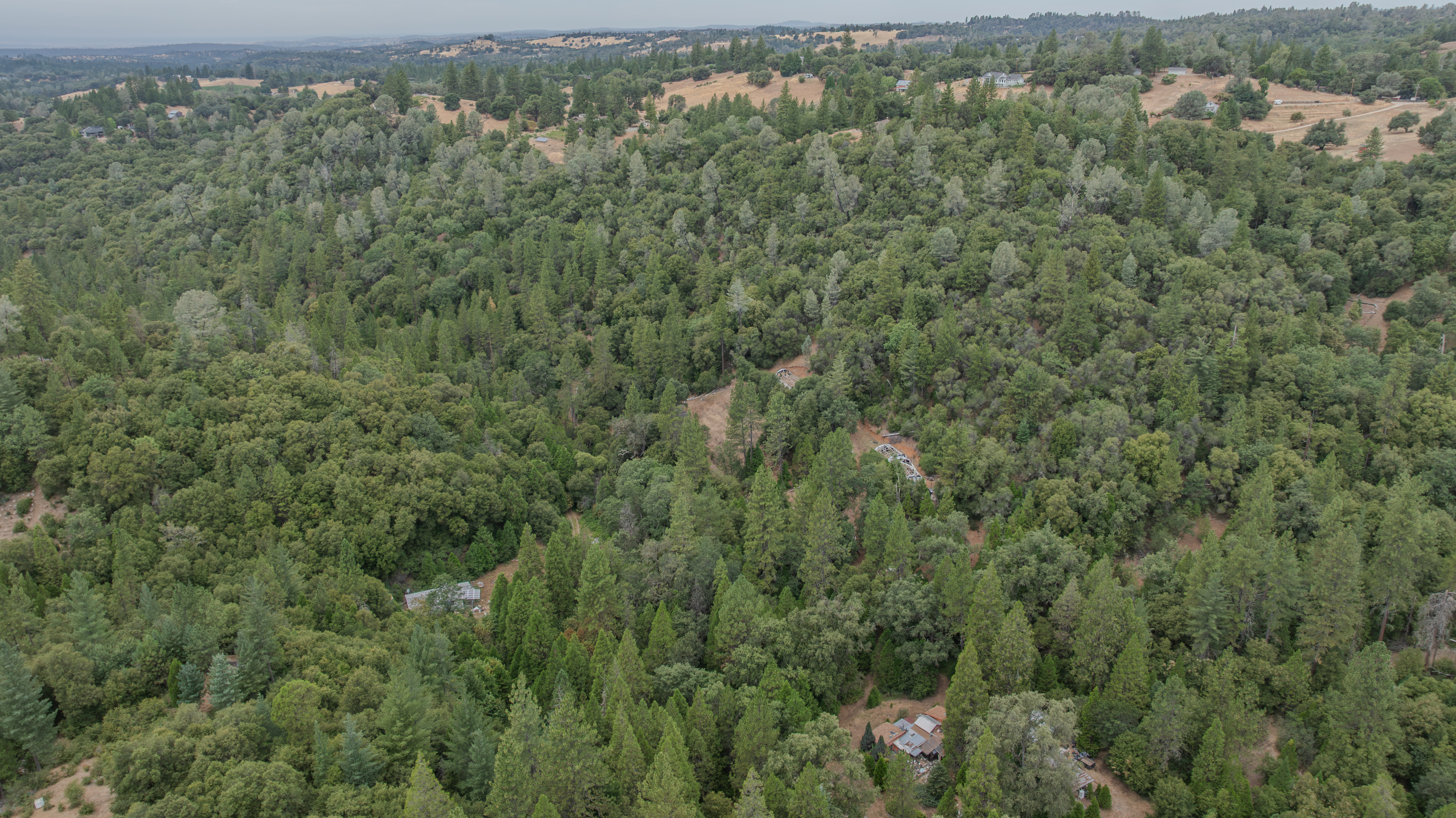  18101 Old River Road, Fiddletown, CA 95629 - 物件實景