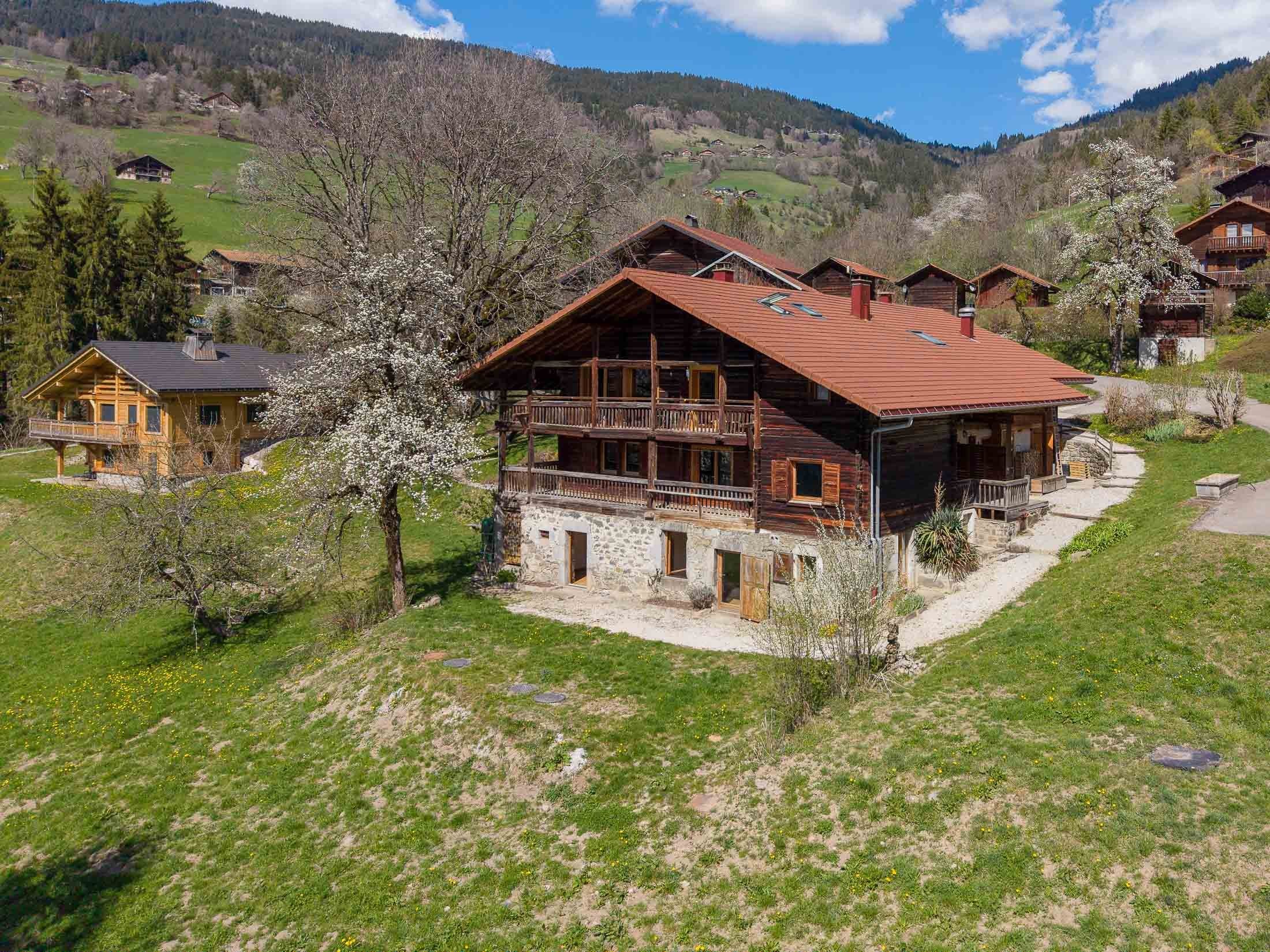  Exceptional chalet in the heart of the mountains - 物件實景