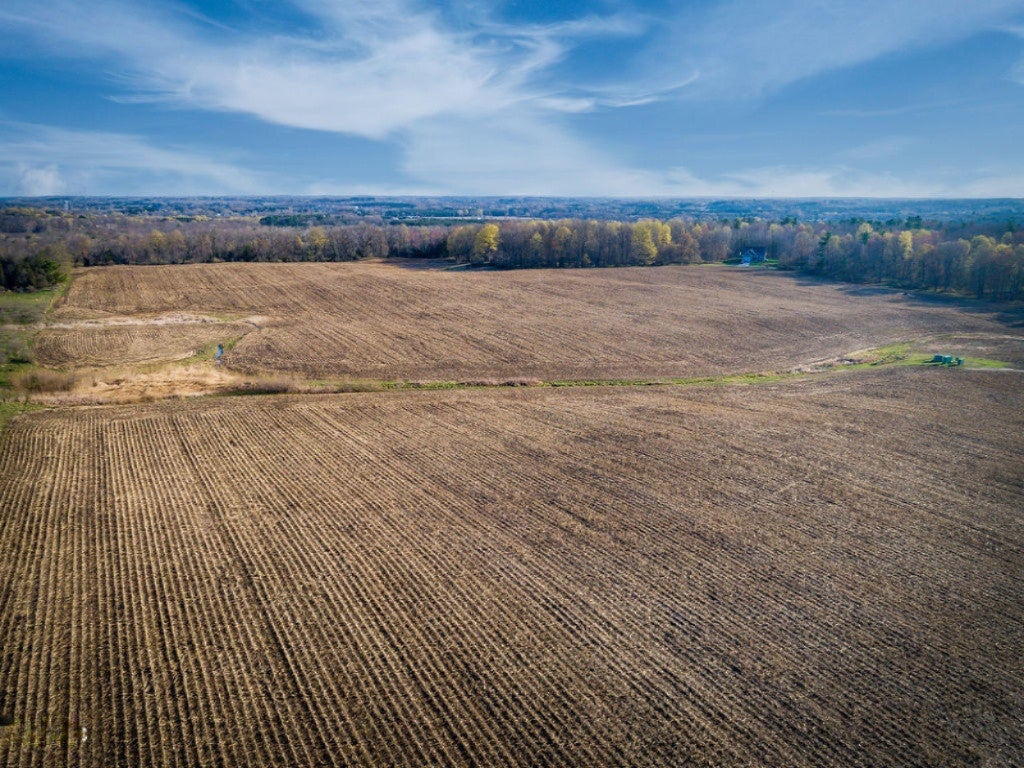 Big Rapids, Michigan, 49307, United States, ,Land,For Sale,1942209