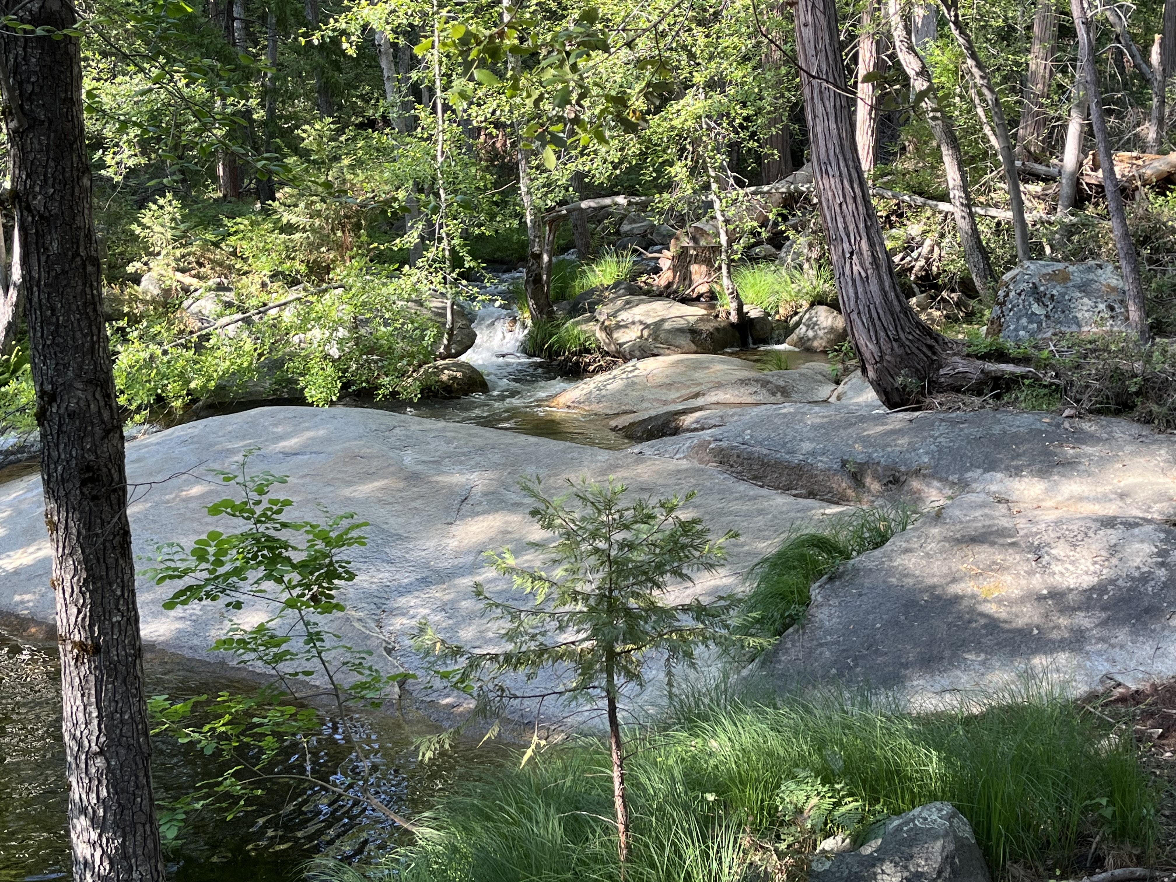 Mariposa, California, 95338, United States, 3 Bedrooms Bedrooms, ,3 BathroomsBathrooms,Residential,For Sale,1973787