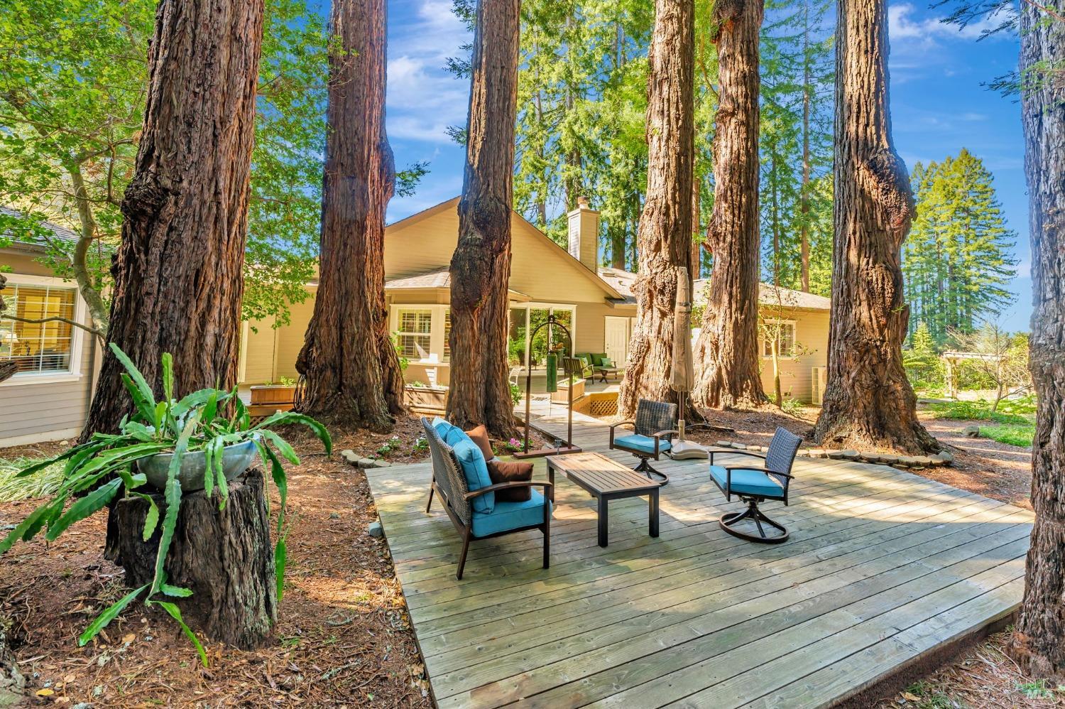 Sebastopol, California, 95472, United States, 4 Bedrooms Bedrooms, ,3 BathroomsBathrooms,Residential,For Sale,1989317