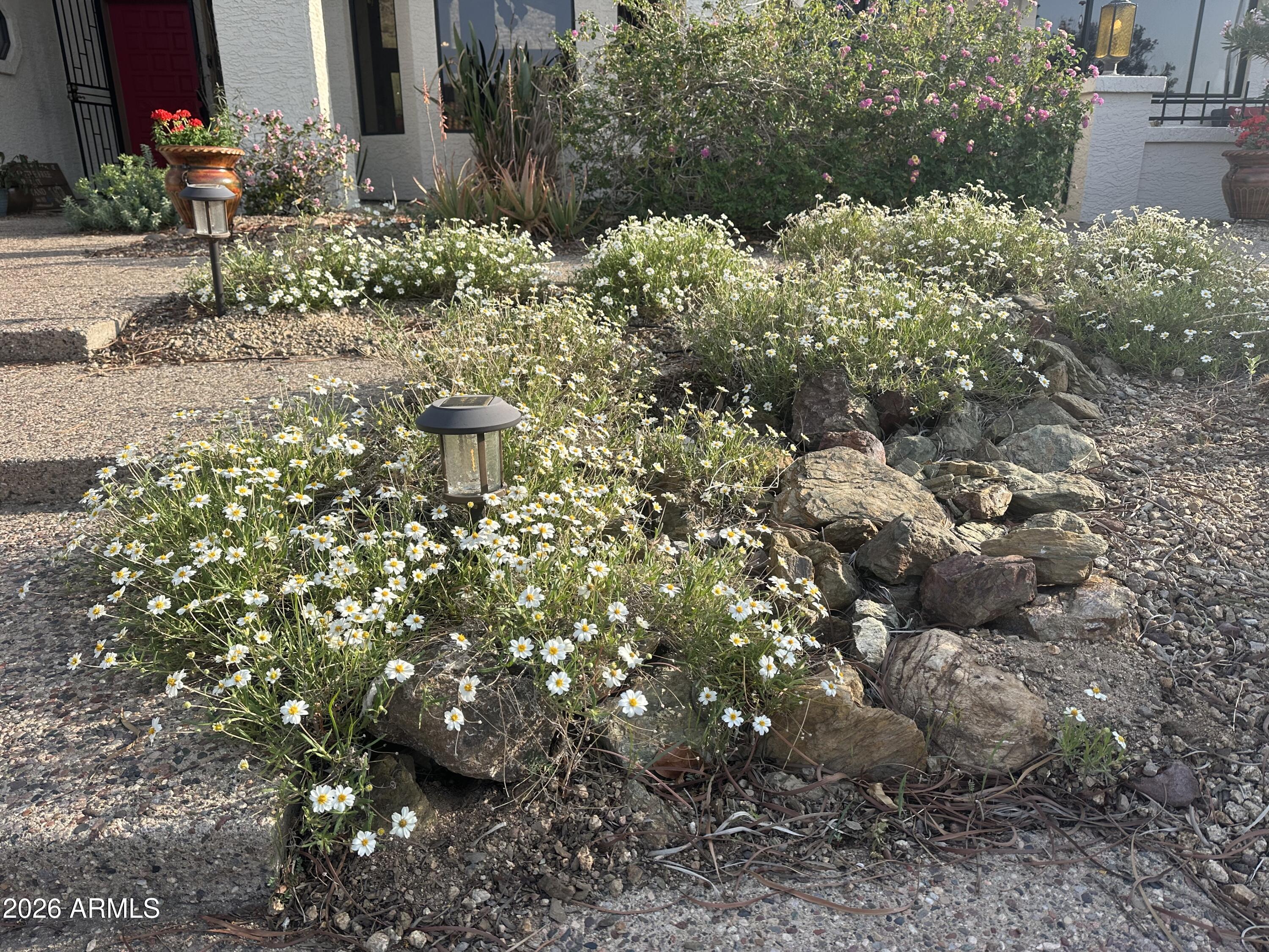  1121 W Aster Drive  Phoenix, AZ - 物件實景