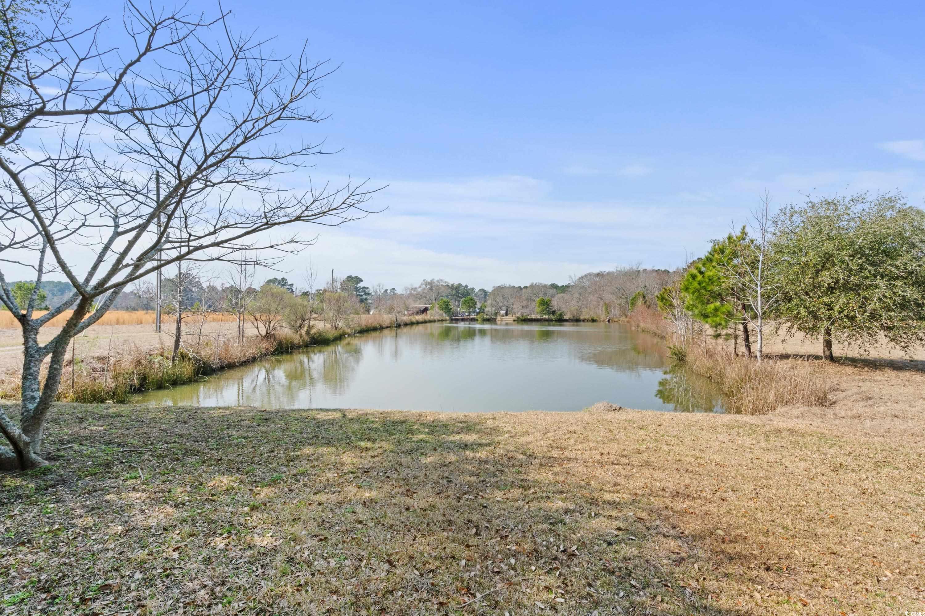 Longs, South Carolina, 29568, United States, ,Land,For Sale,1838298