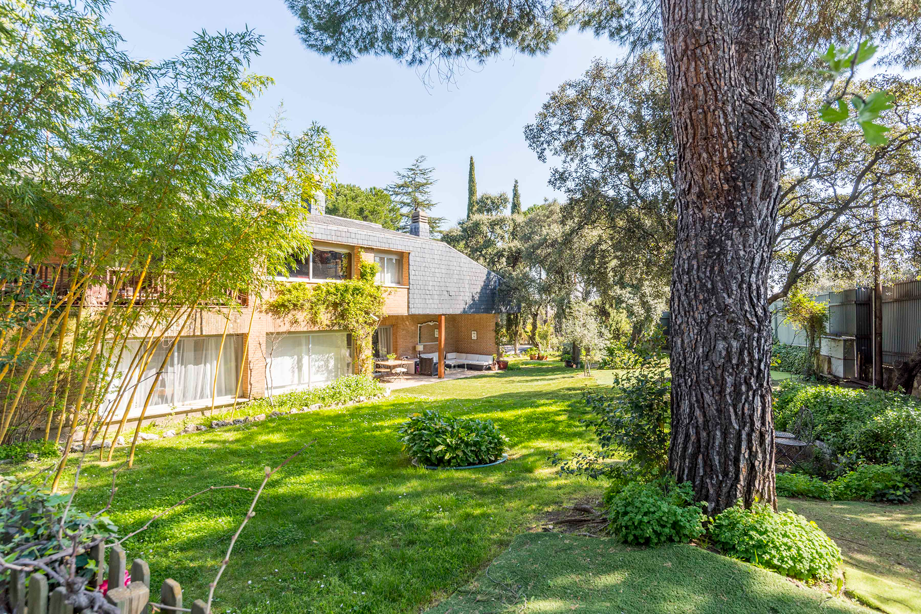  Wonderful hectare plot in La Moraleja - 物件實景