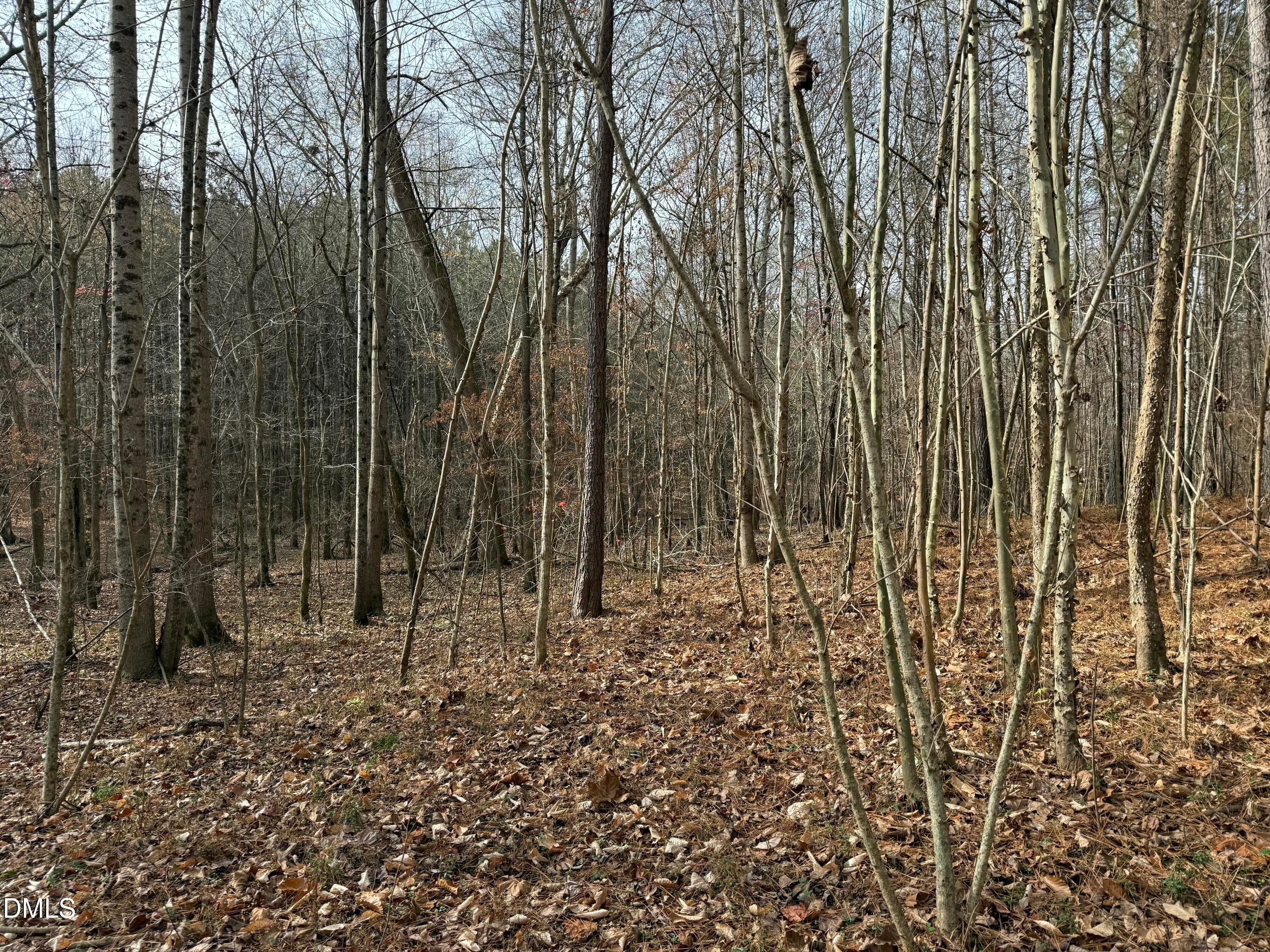 Oxford, North Carolina, 27565, United States, ,Land,For Sale,2000467