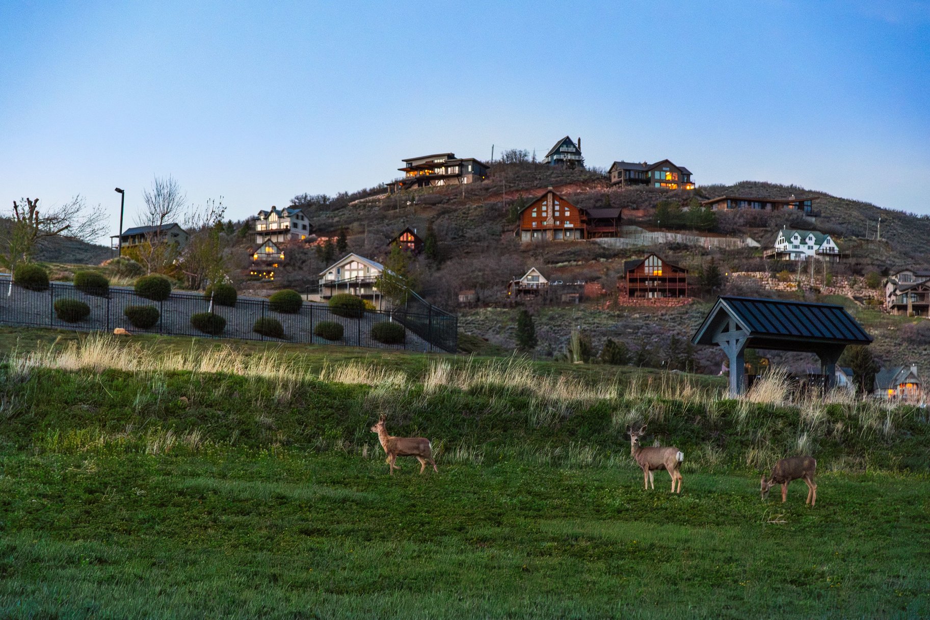  Mount Timpanogos Views. One Acre. No HOA. No Build Timeline. - 物件實景